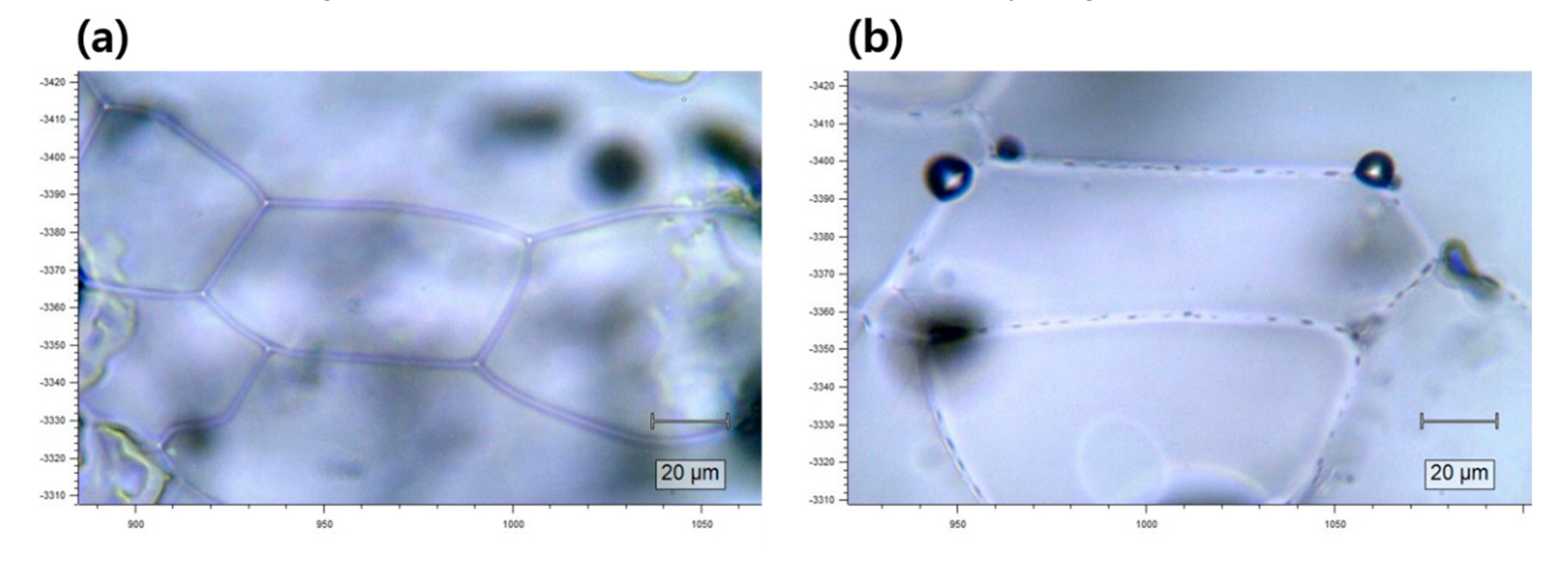 Minerals 10 00185 g006