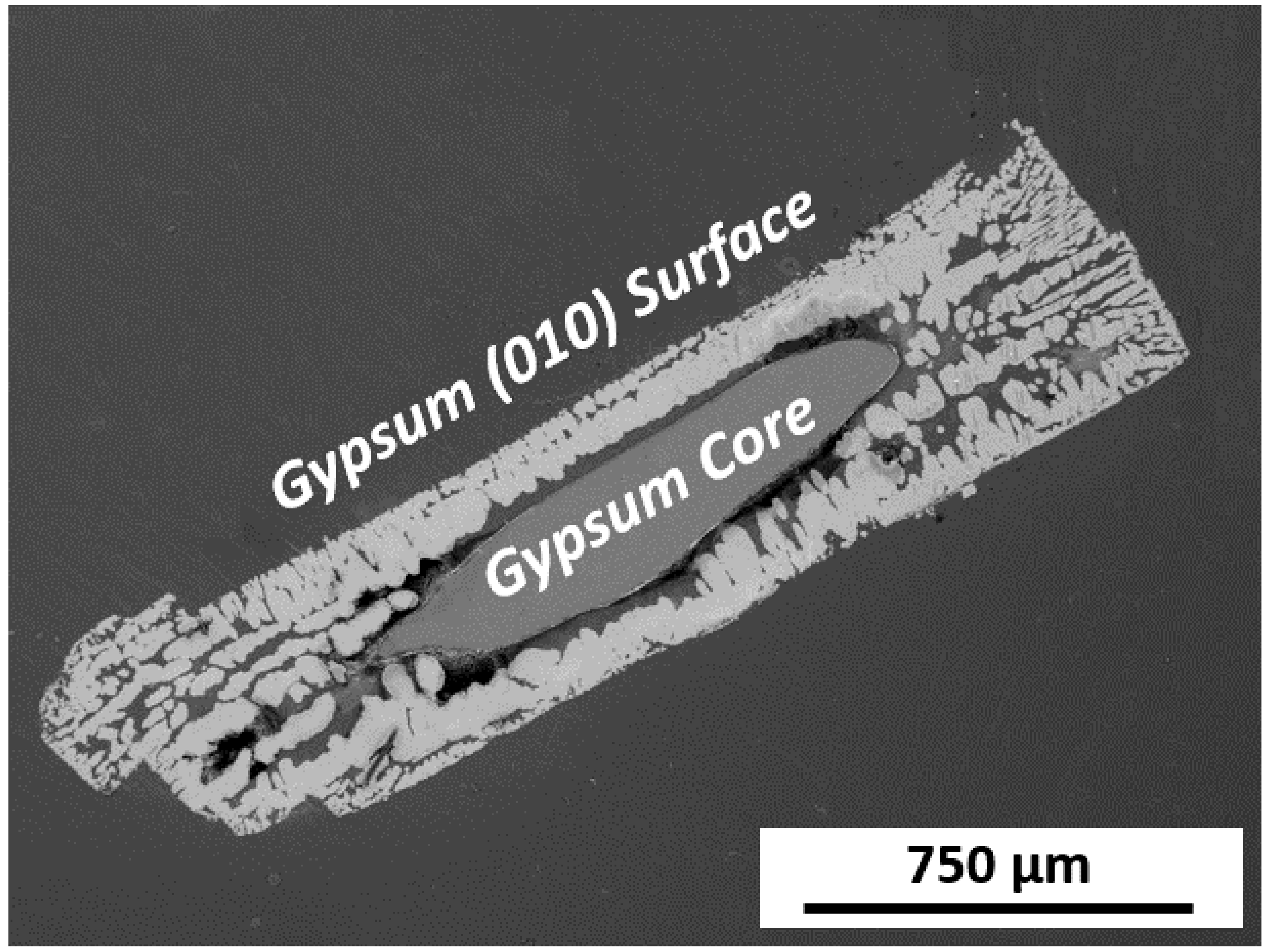 Minerals 10 00189 g004
