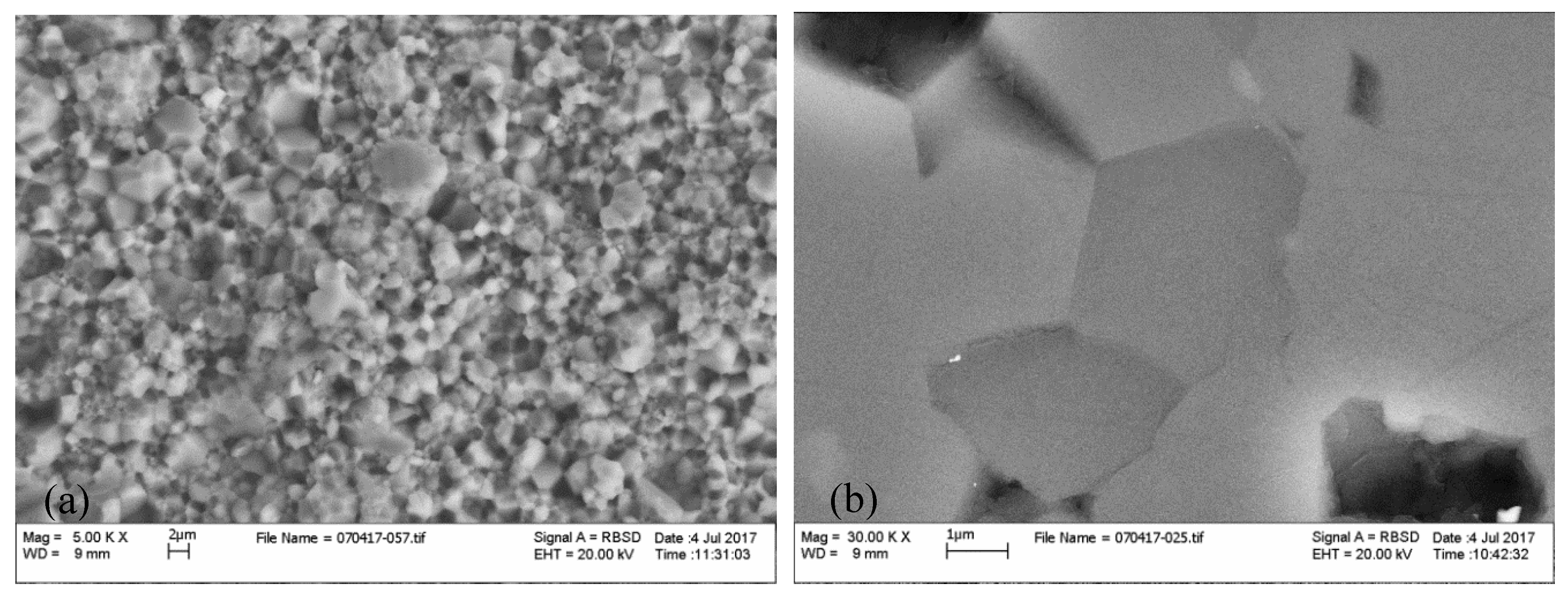 Minerals 10 00209 g001 Minerals 10 00209 g001