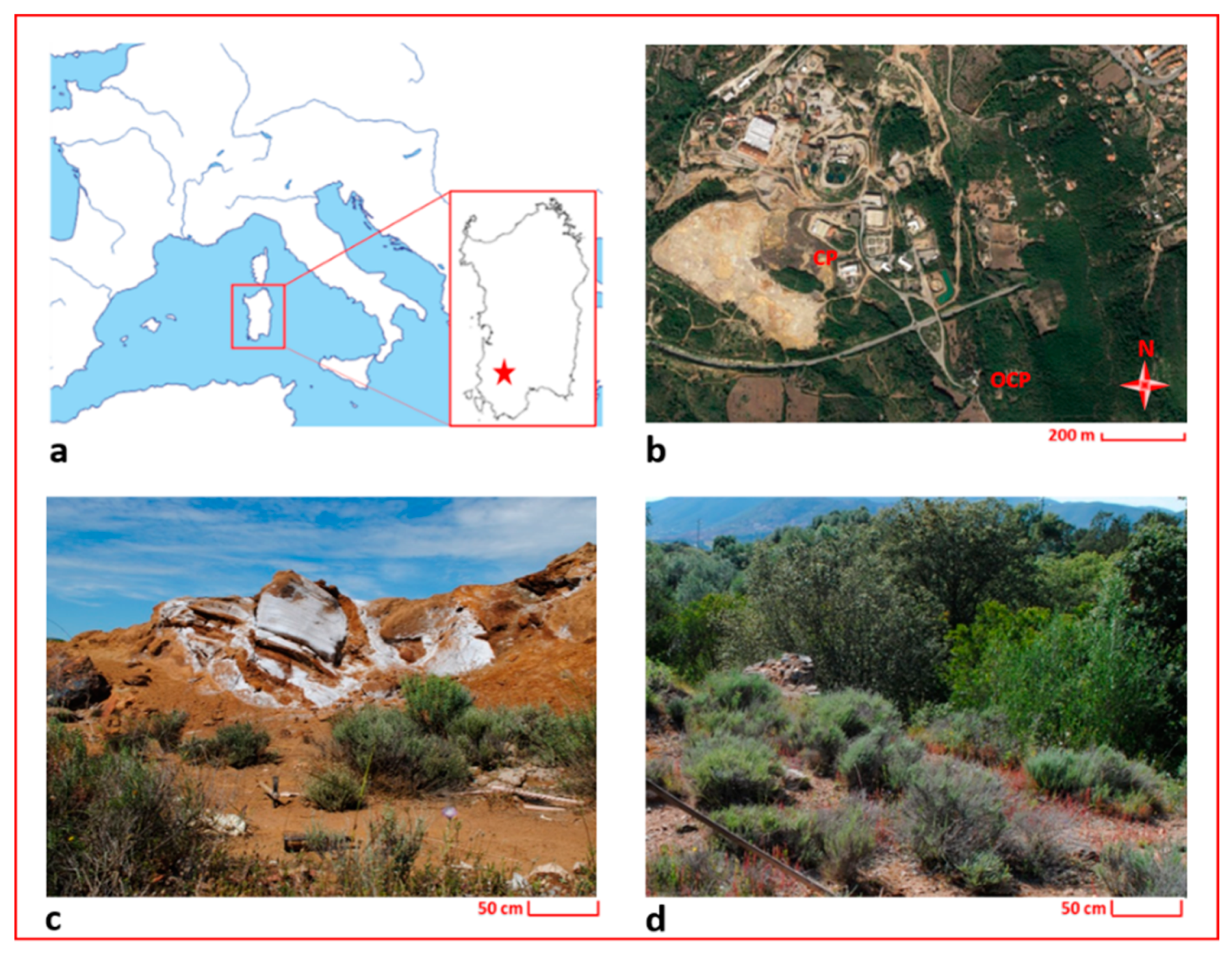 Minerals 10 00259 g001 Minerals 10 00259 g001
