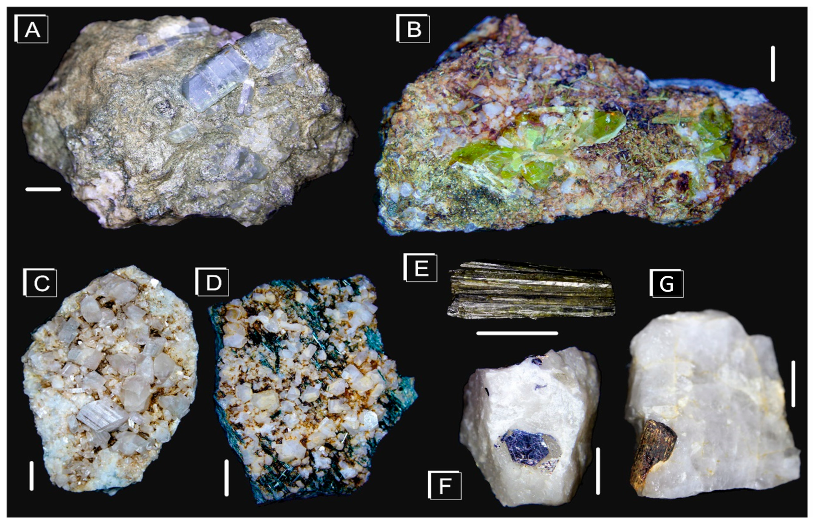 Minerals 10 00266 g002 Minerals 10 00266 g002