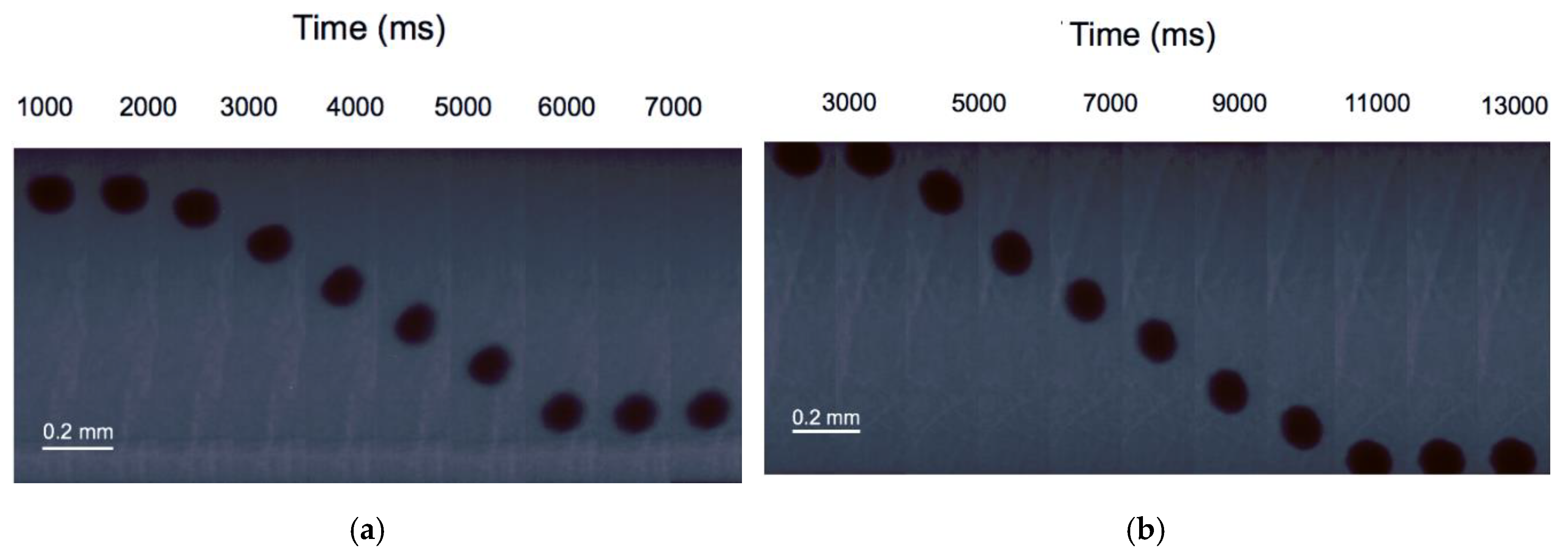 Minerals 10 00267 g001