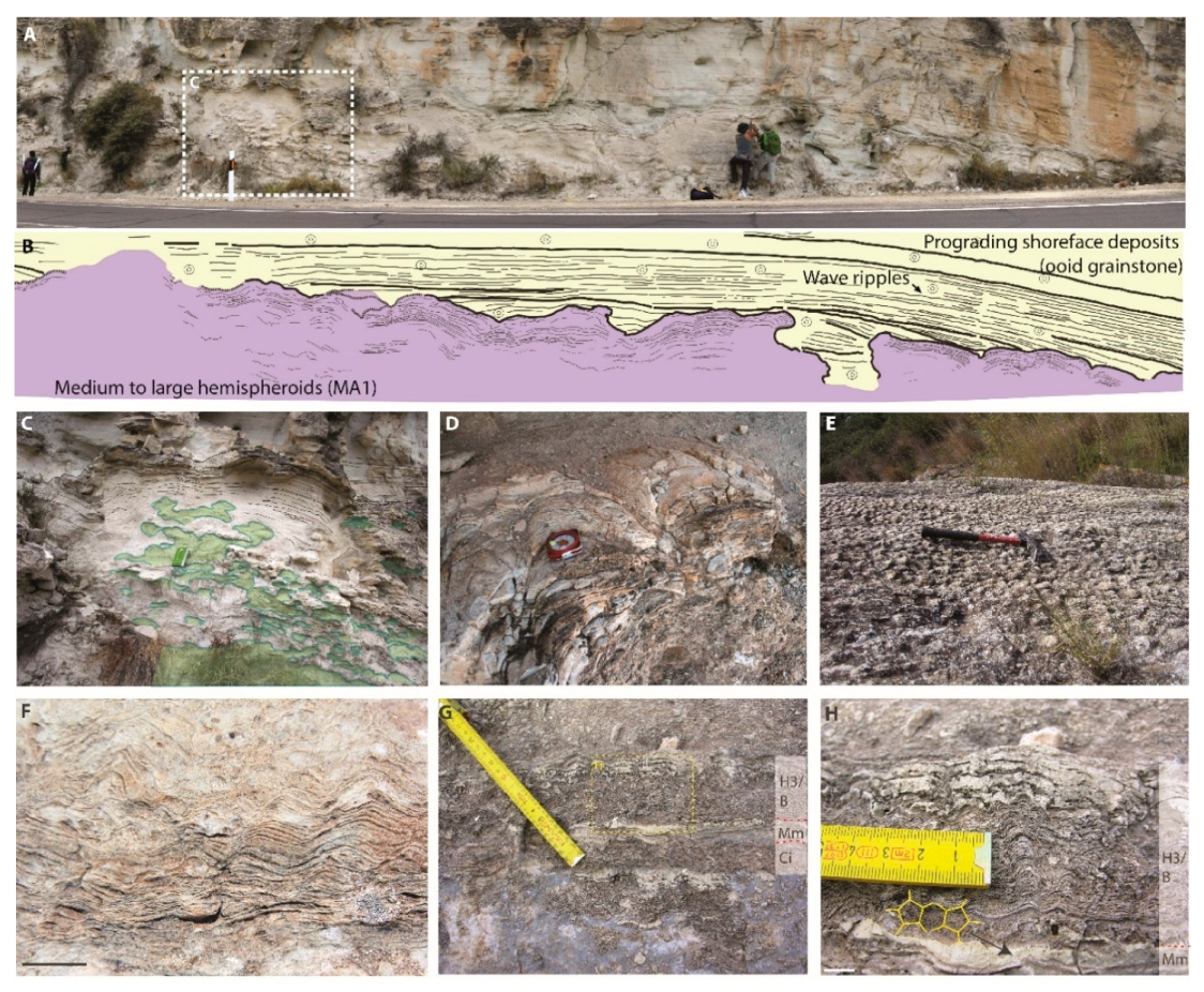 Minerals 10 00276 g006 Minerals 10 00276 g006