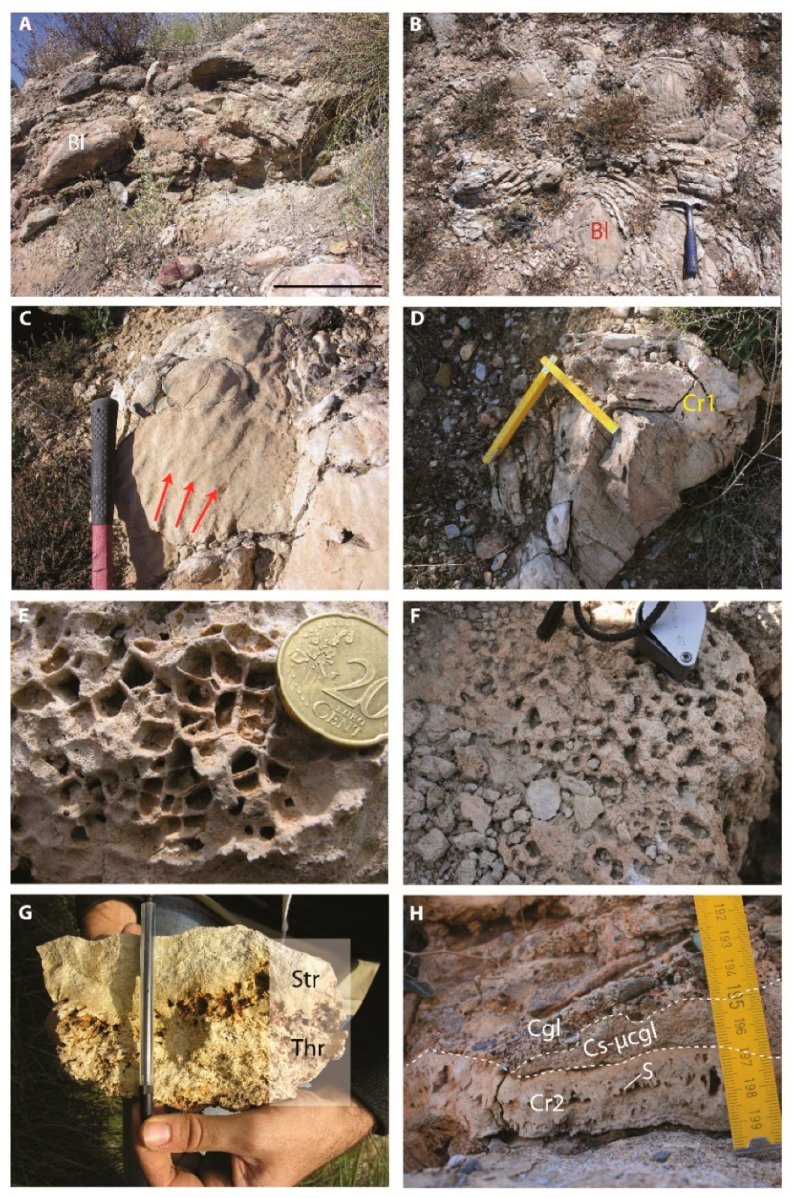 Minerals 10 00276 g007 Minerals 10 00276 g007