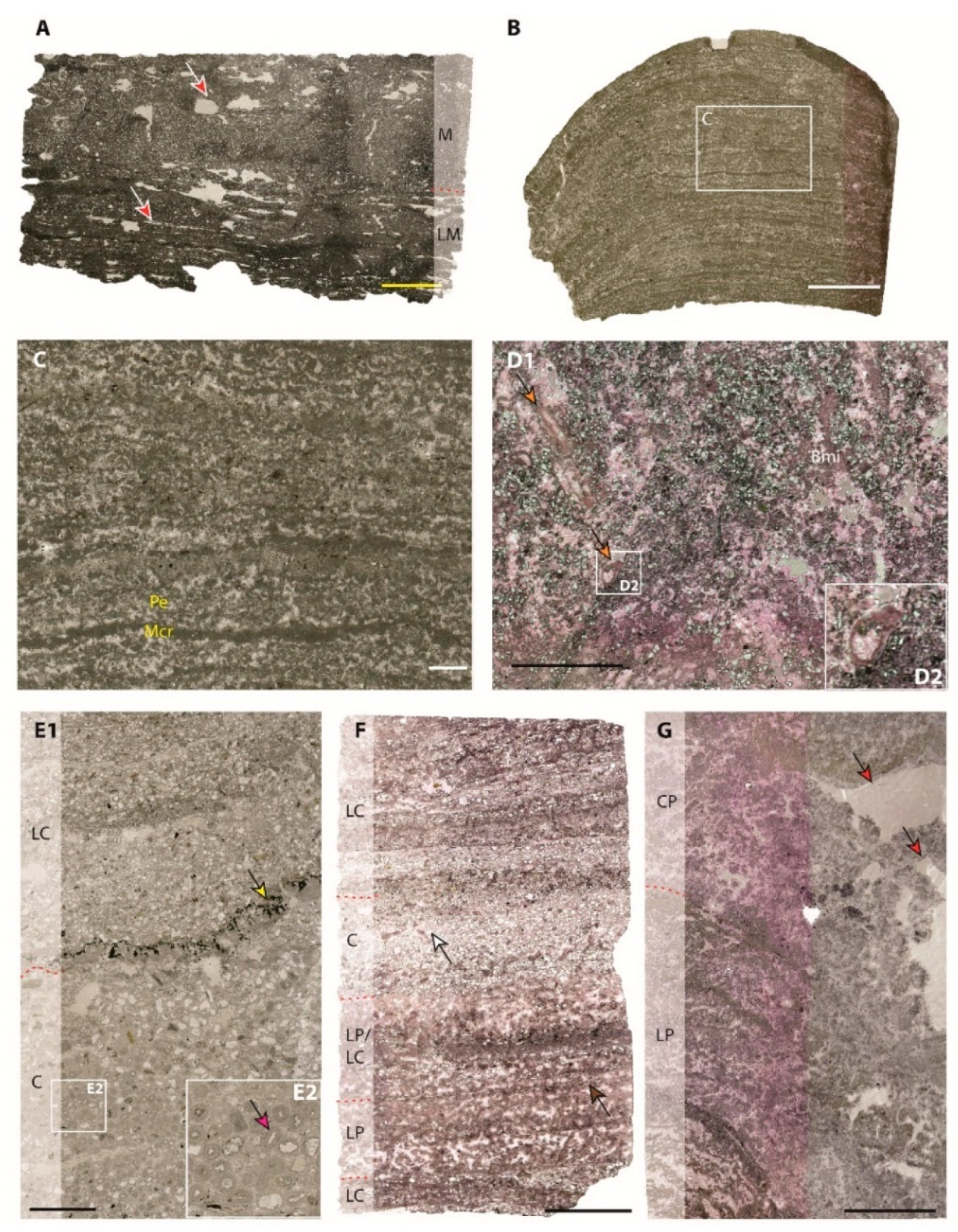 Minerals 10 00276 g009 Minerals 10 00276 g009