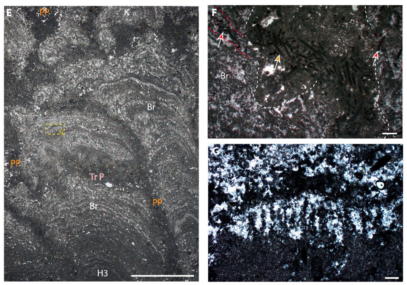 Minerals 10 00276 g013b Minerals 10 00276 g013b