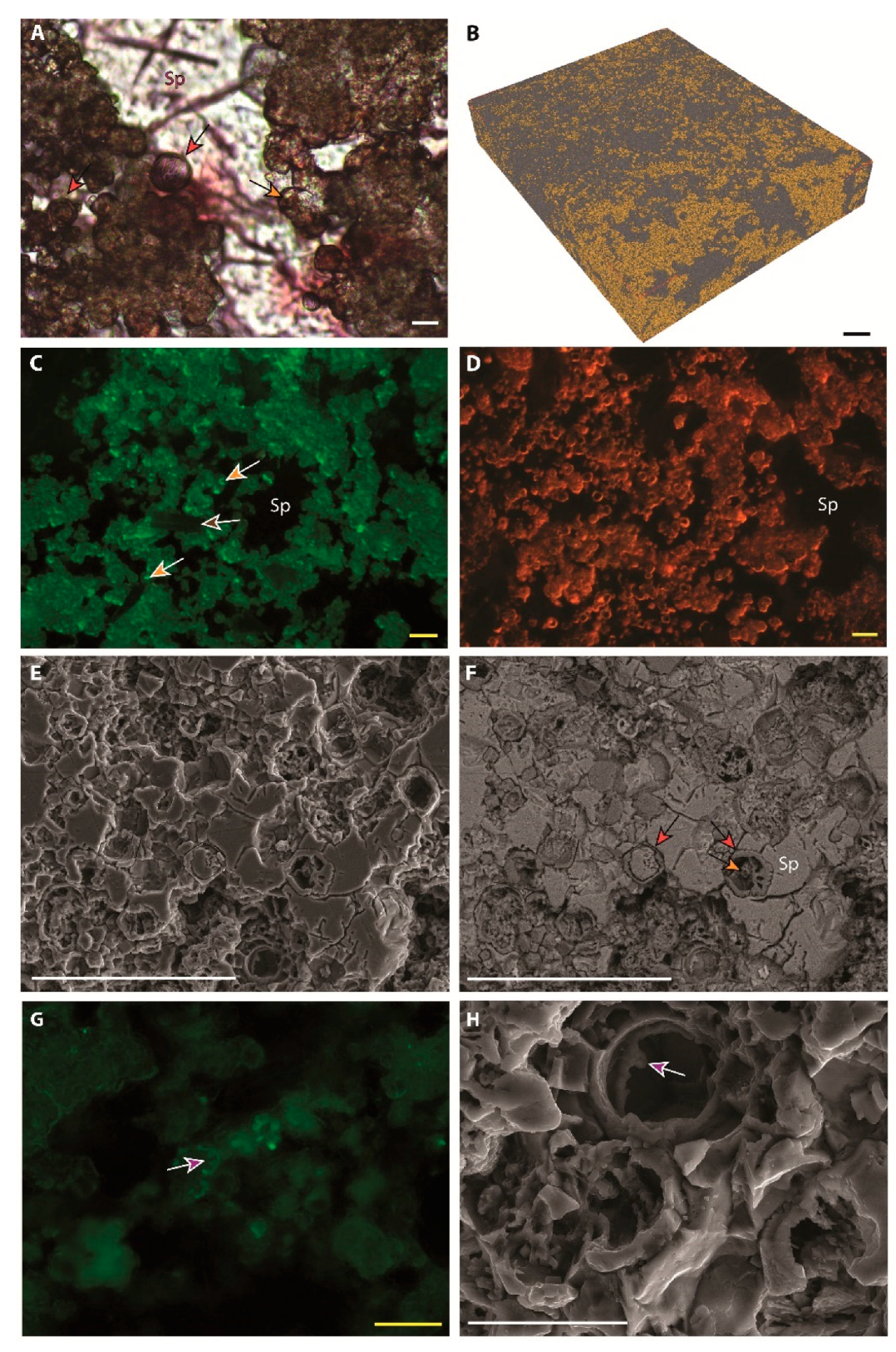 Minerals 10 00276 g015 Minerals 10 00276 g015