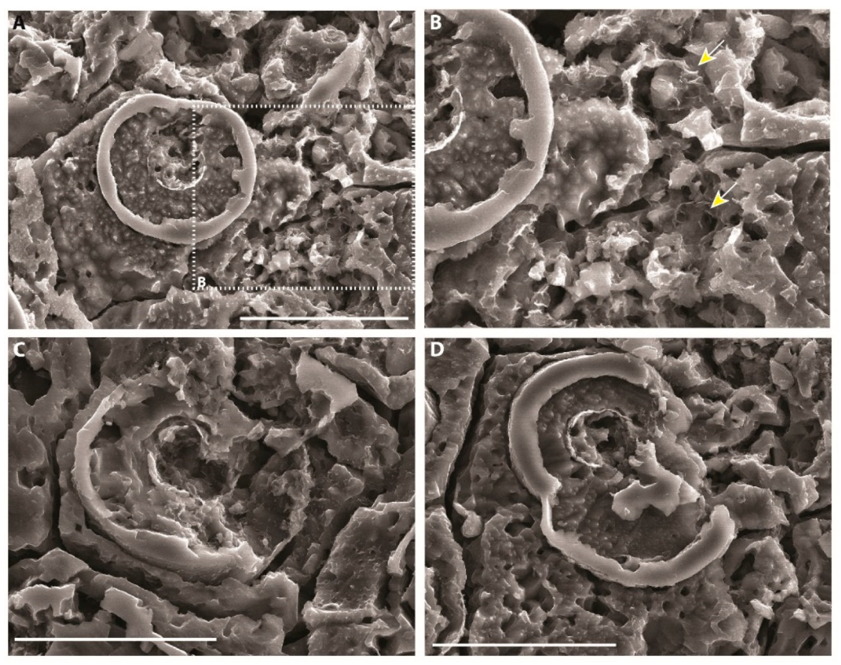Minerals 10 00276 g017a Minerals 10 00276 g017a