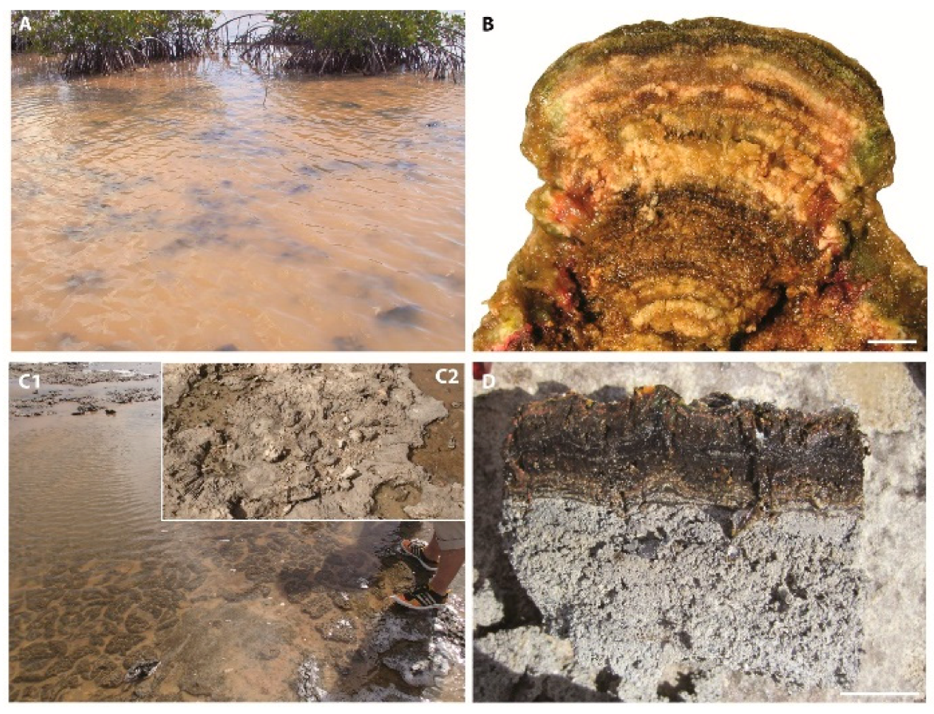 Minerals 10 00276 g018a Minerals 10 00276 g018a