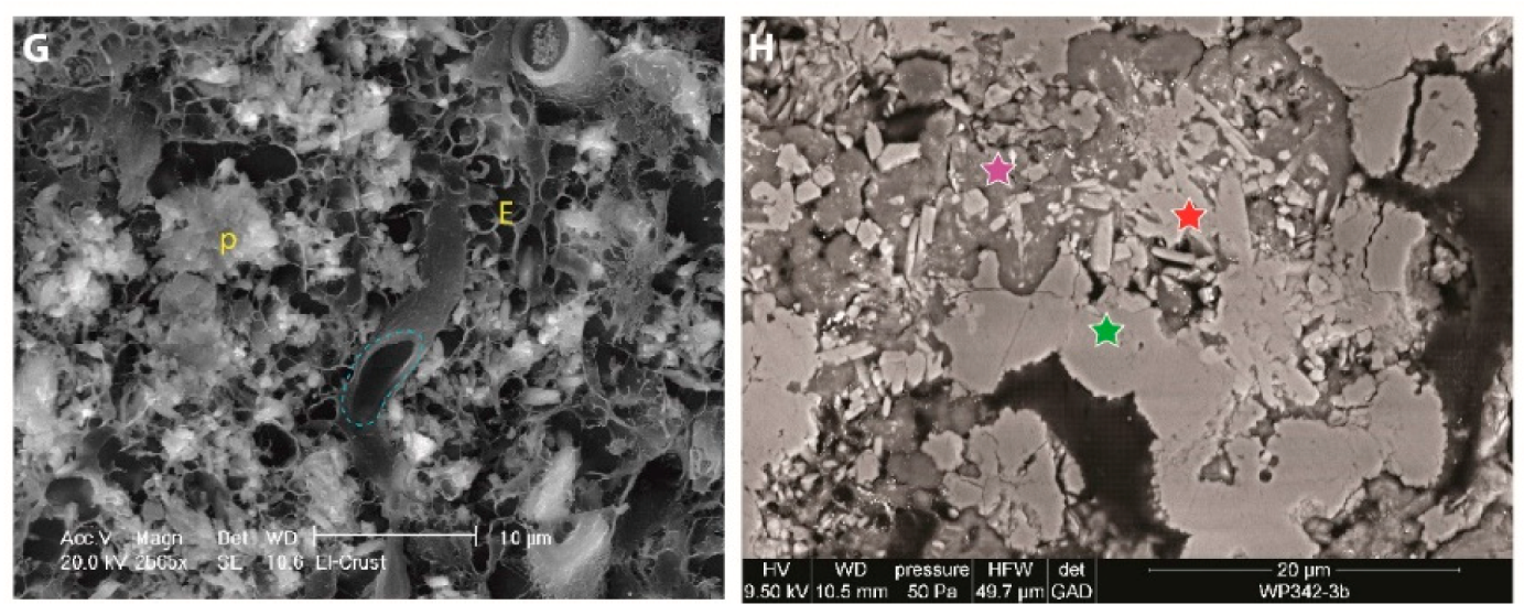 Minerals 10 00276 g019b Minerals 10 00276 g019b