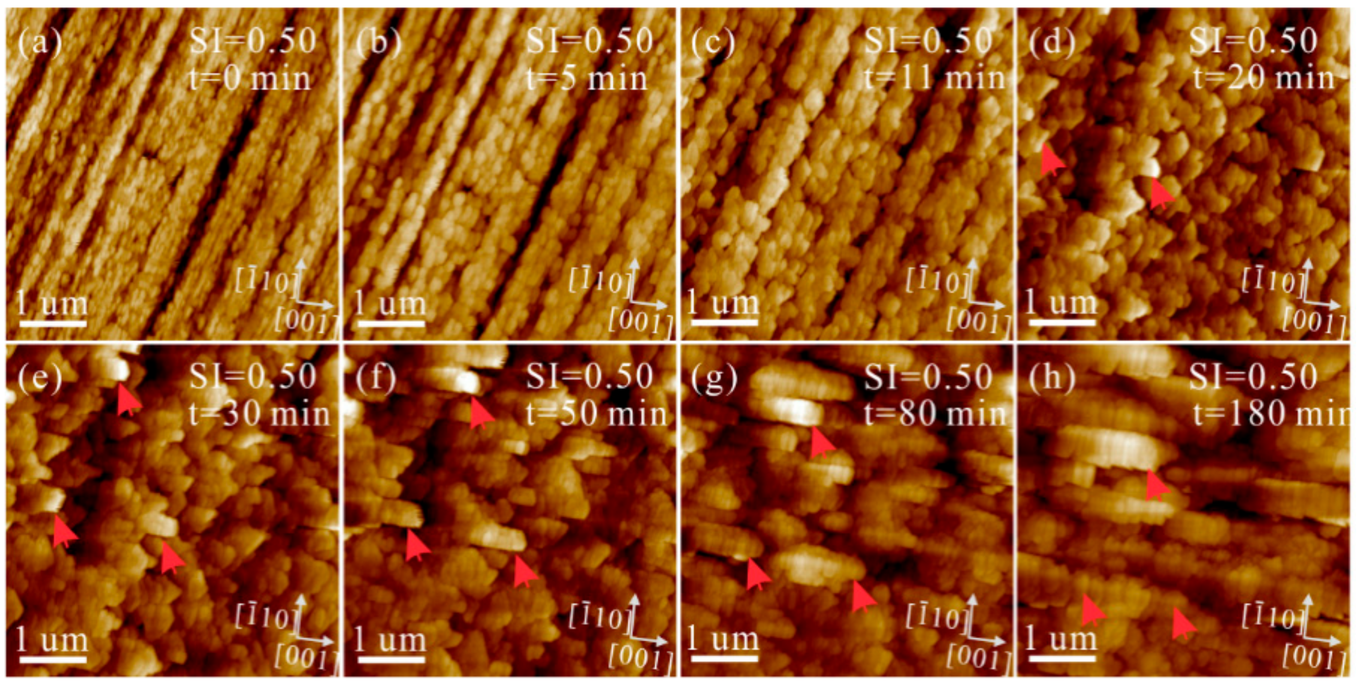 Minerals 10 00294 g007 Minerals 10 00294 g007