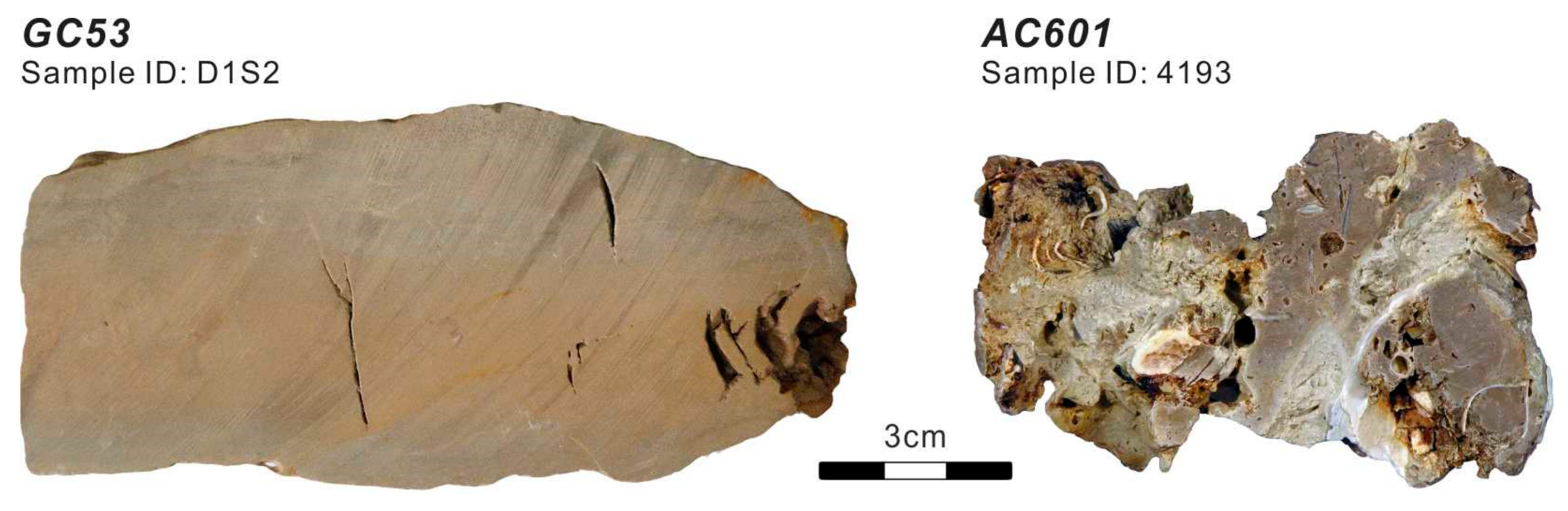 Minerals 10 00299 g002