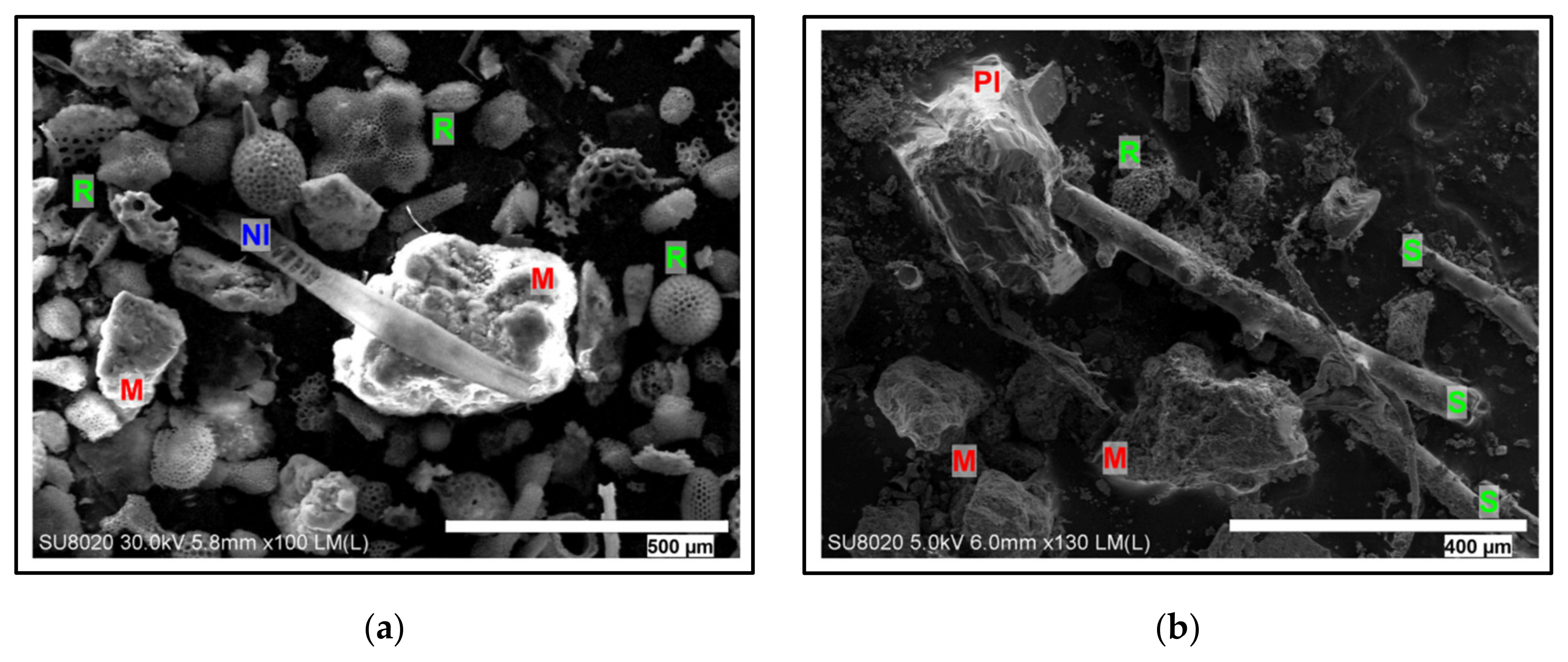 Minerals 10 00320 g011a