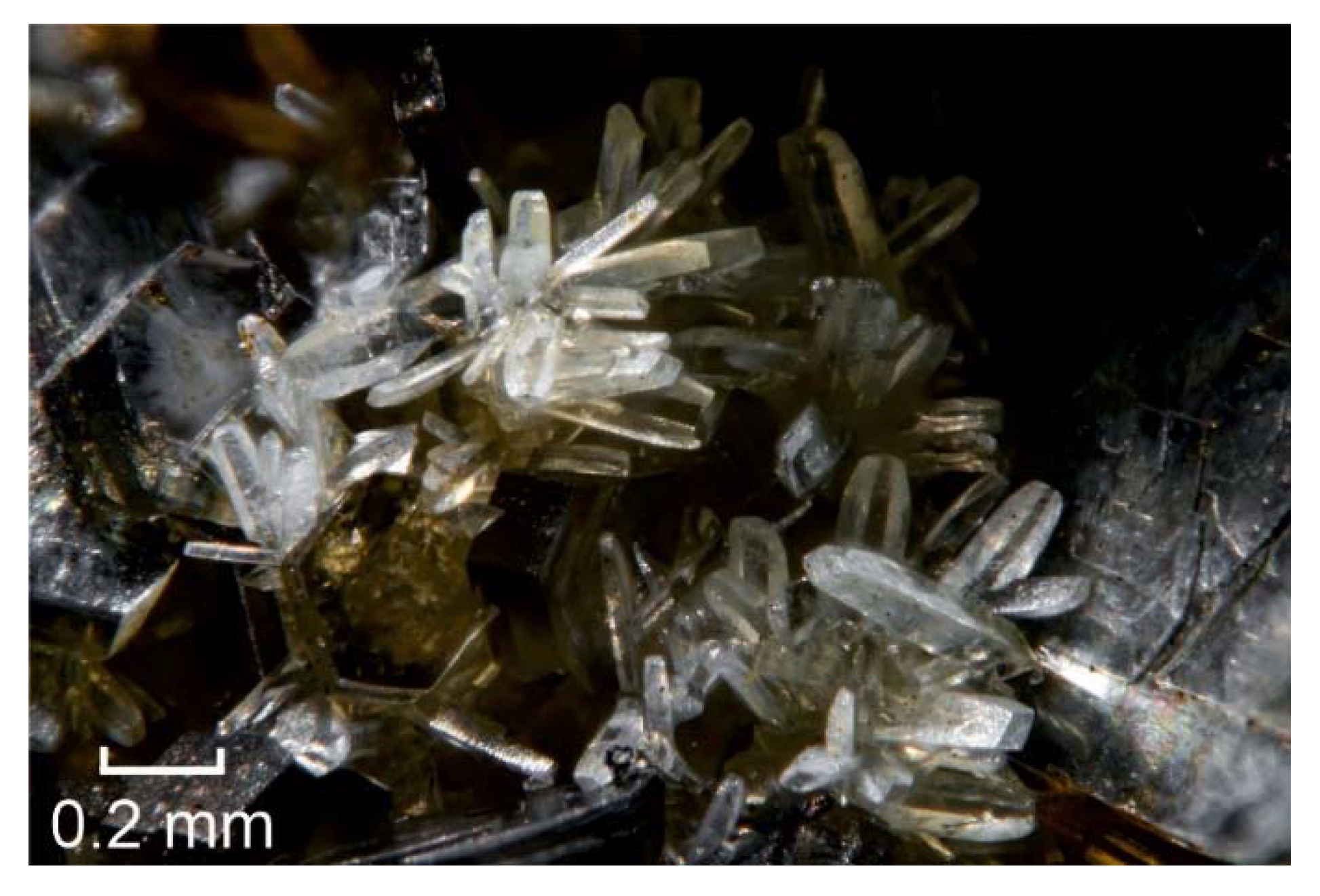 Minerals 10 00322 g001