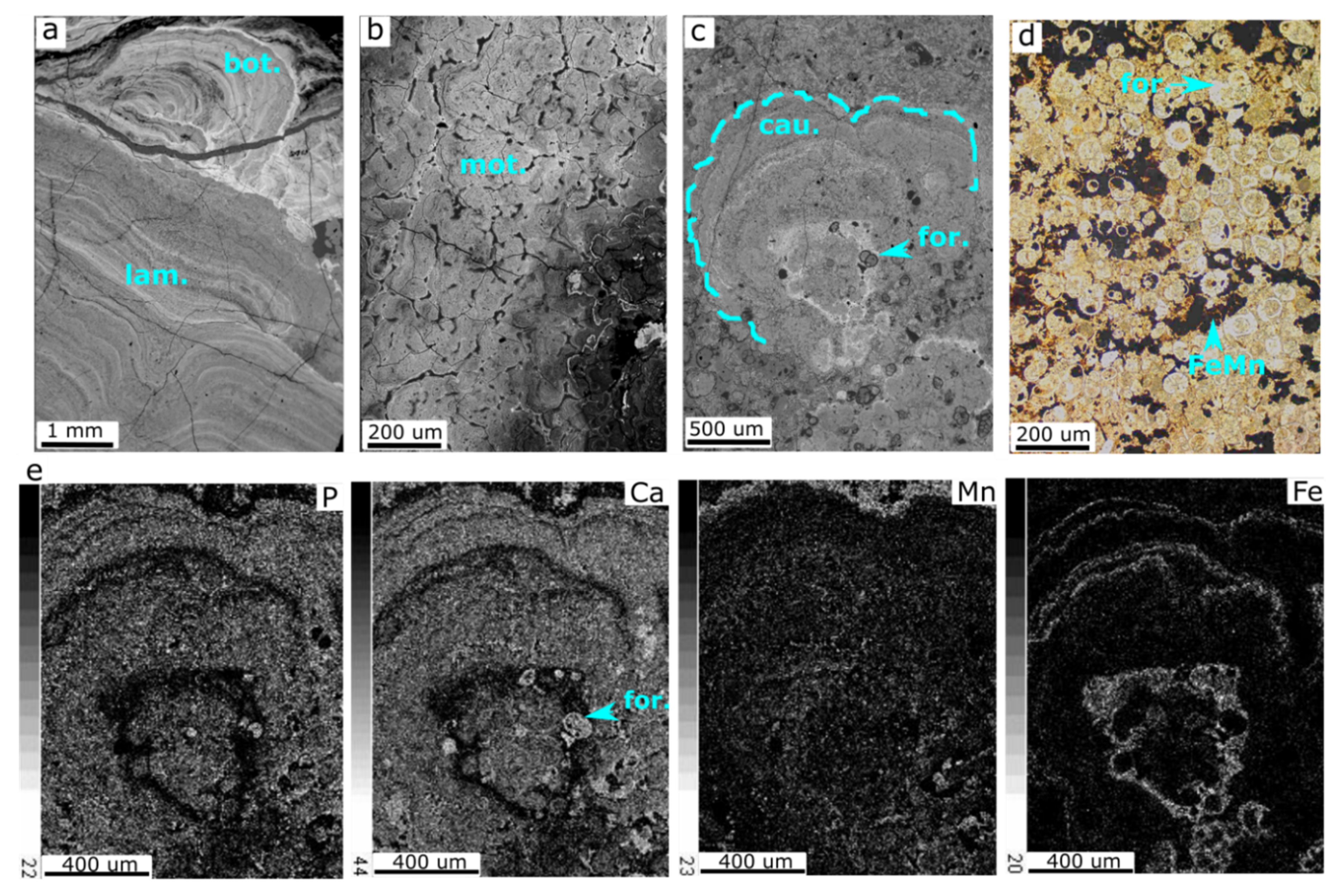 Minerals 10 00349 g004 Minerals 10 00349 g004