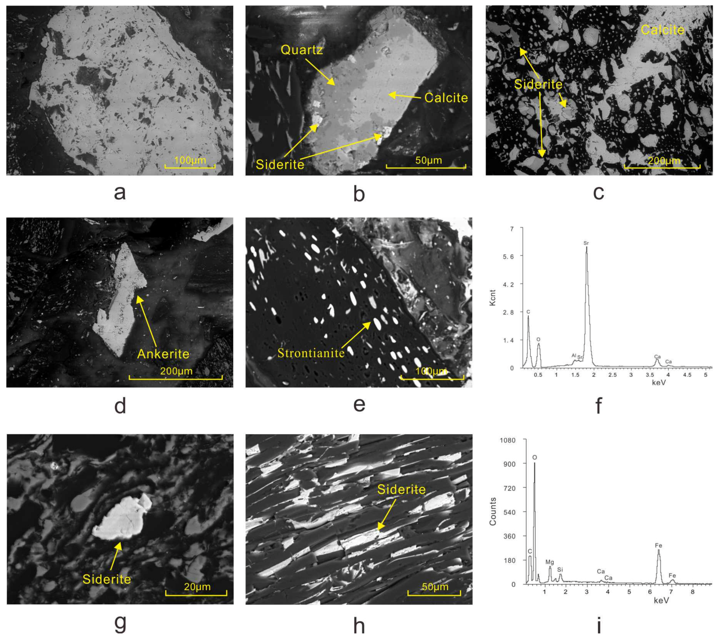 Minerals 10 00399 g005