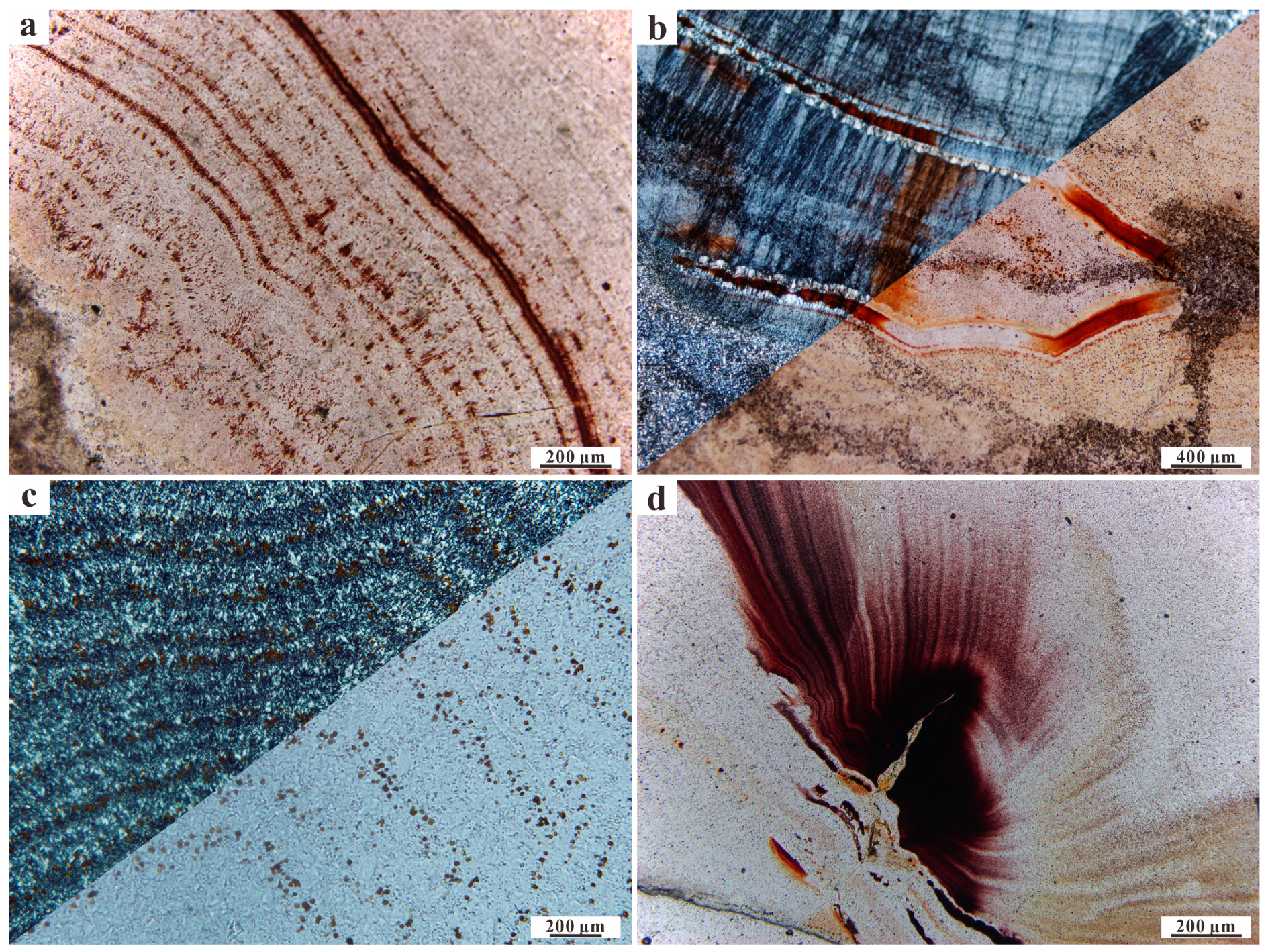 Minerals 10 00401 g005 Minerals 10 00401 g005