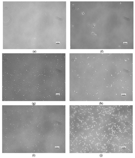 Minerals 10 00433 g0a1b