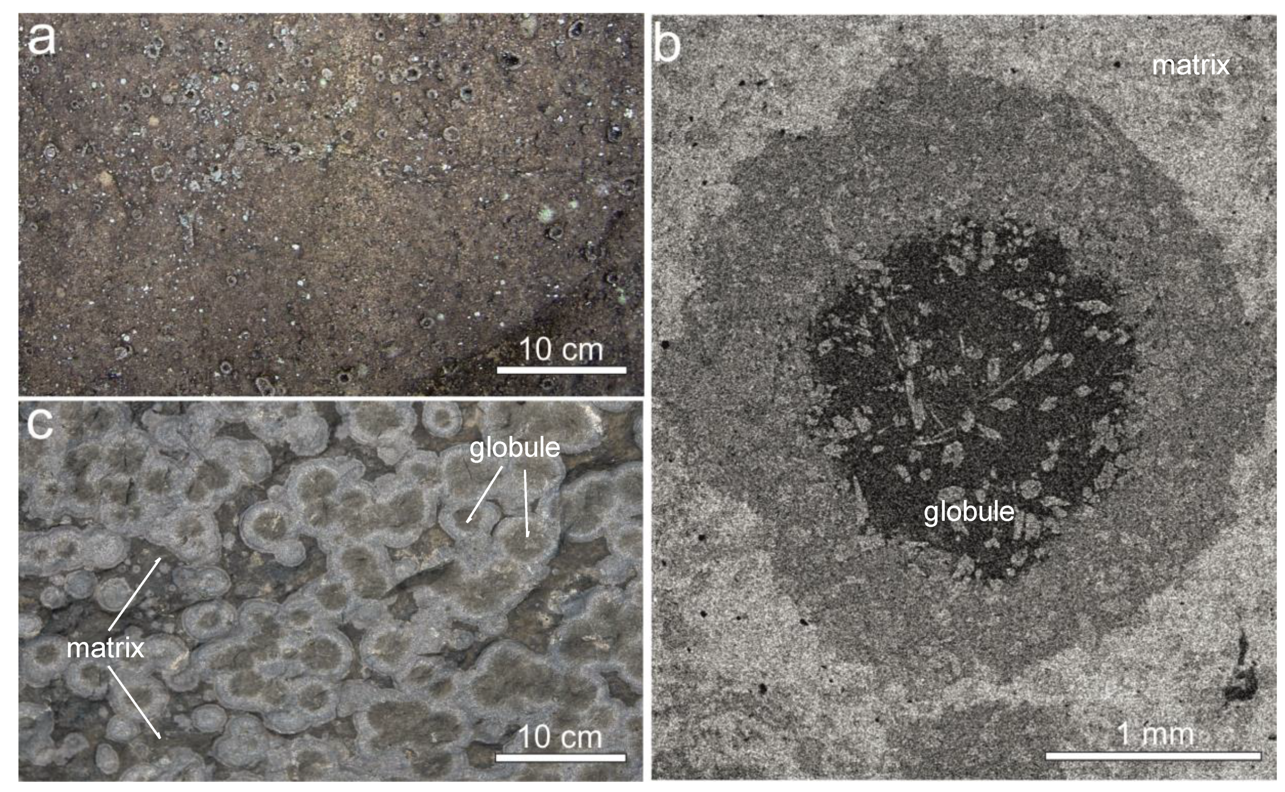 Minerals 10 00434 g002