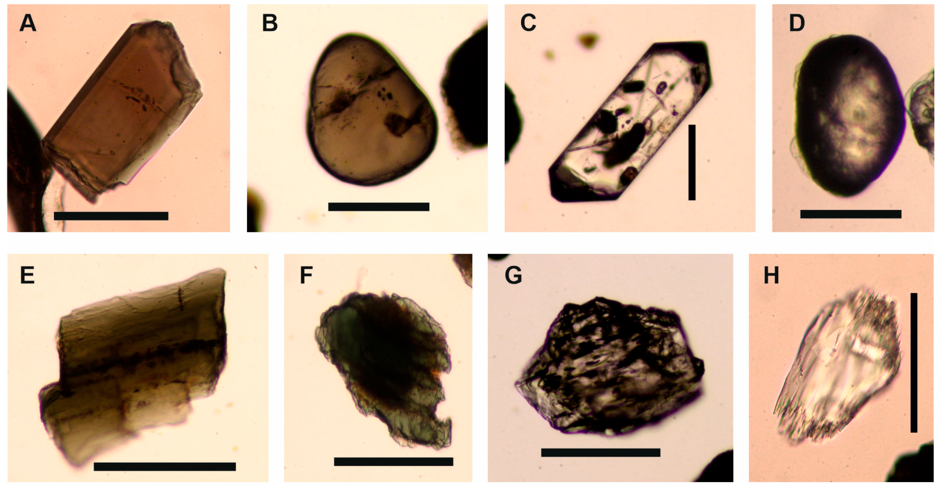 Minerals 10 00445 g006 Minerals 10 00445 g006