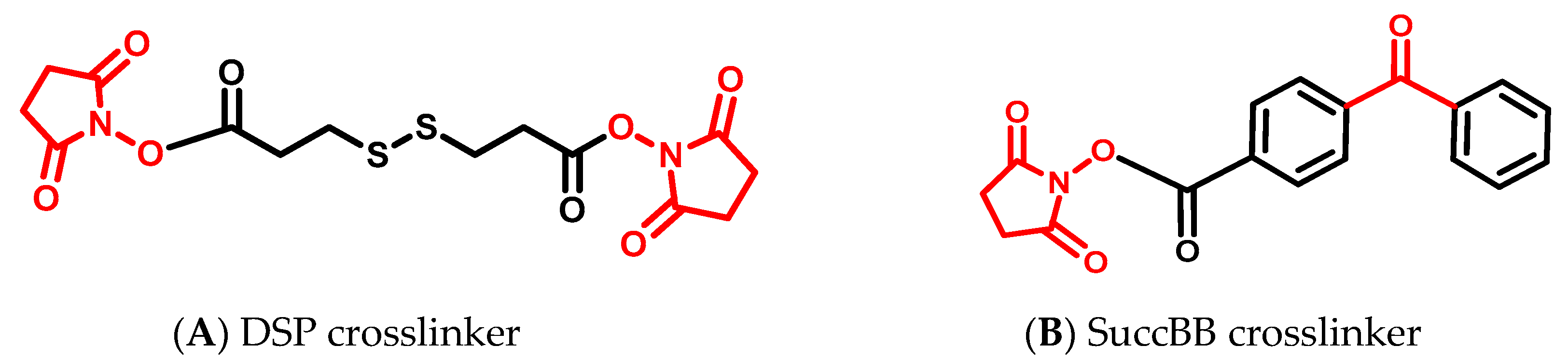 Minerals 10 00464 g001a Minerals 10 00464 g001a