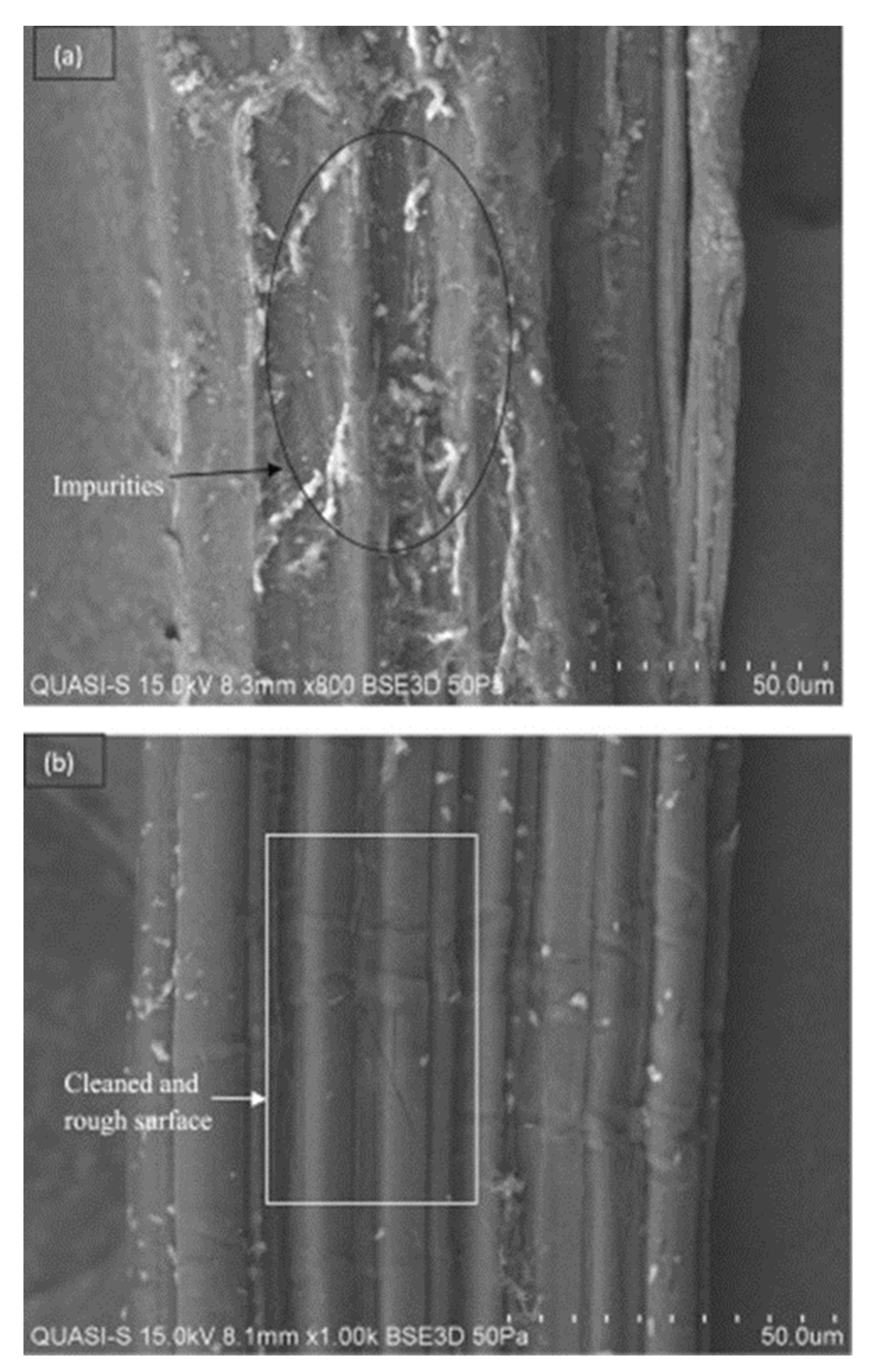 Minerals 10 00479 g001 Minerals 10 00479 g001
