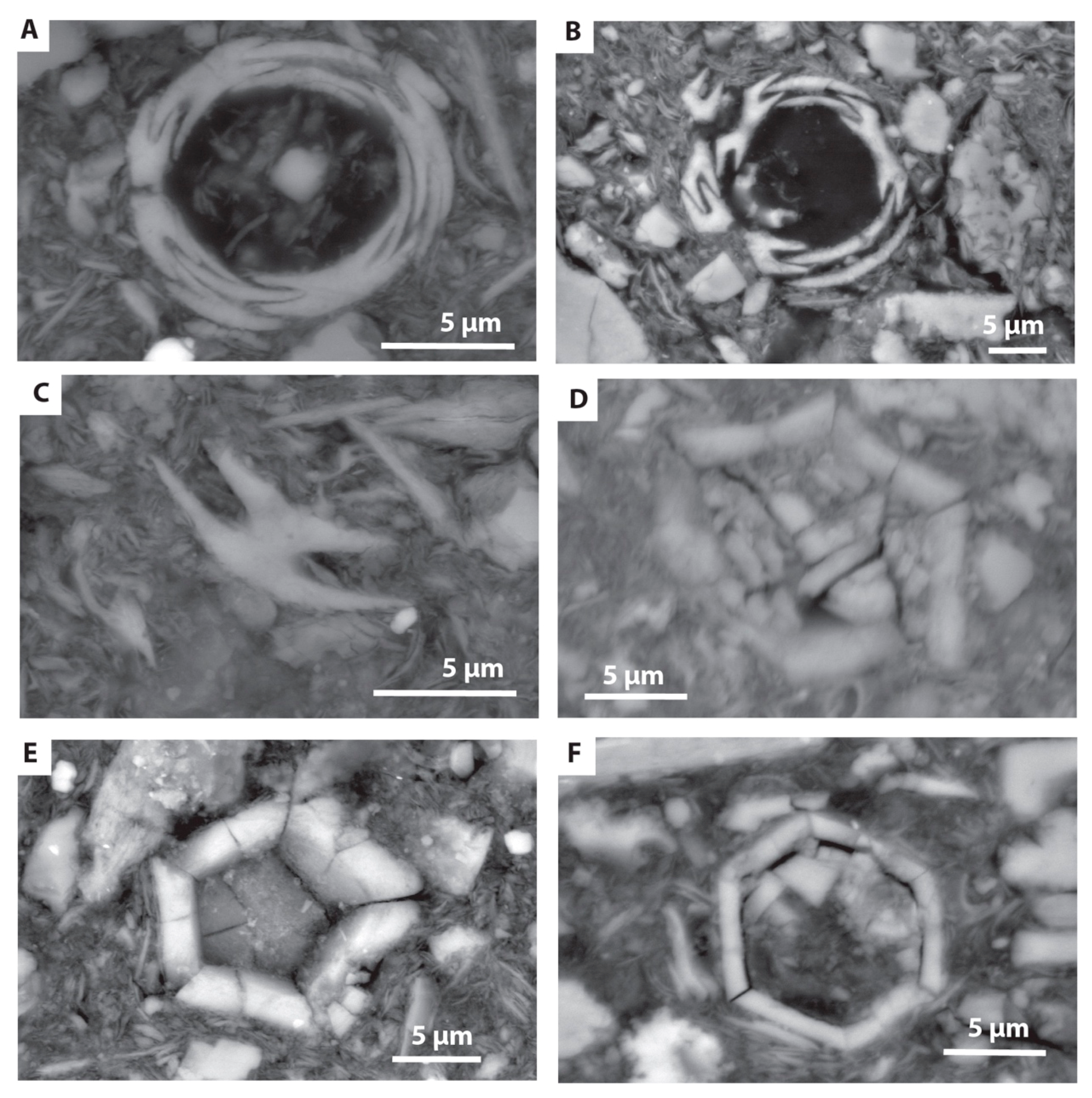 Minerals 10 00488 g005 Minerals 10 00488 g005
