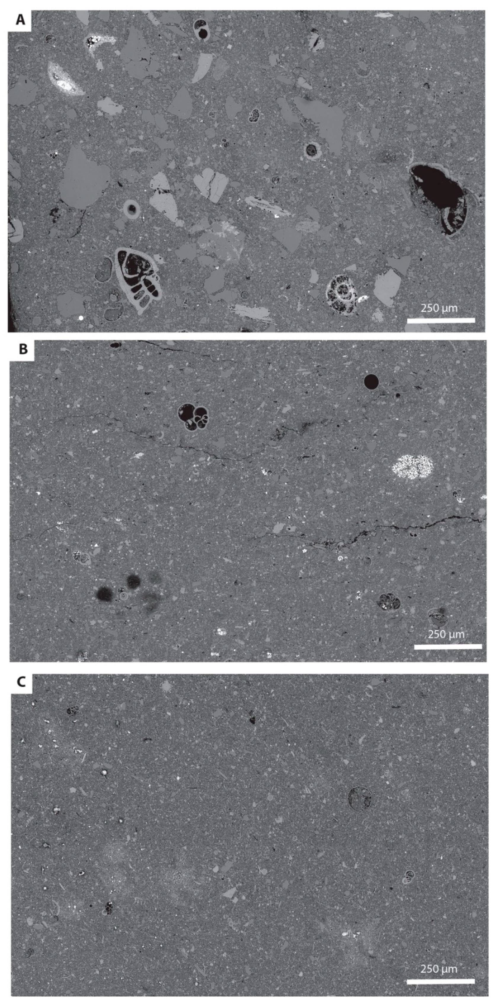 Minerals 10 00488 g007 Minerals 10 00488 g007