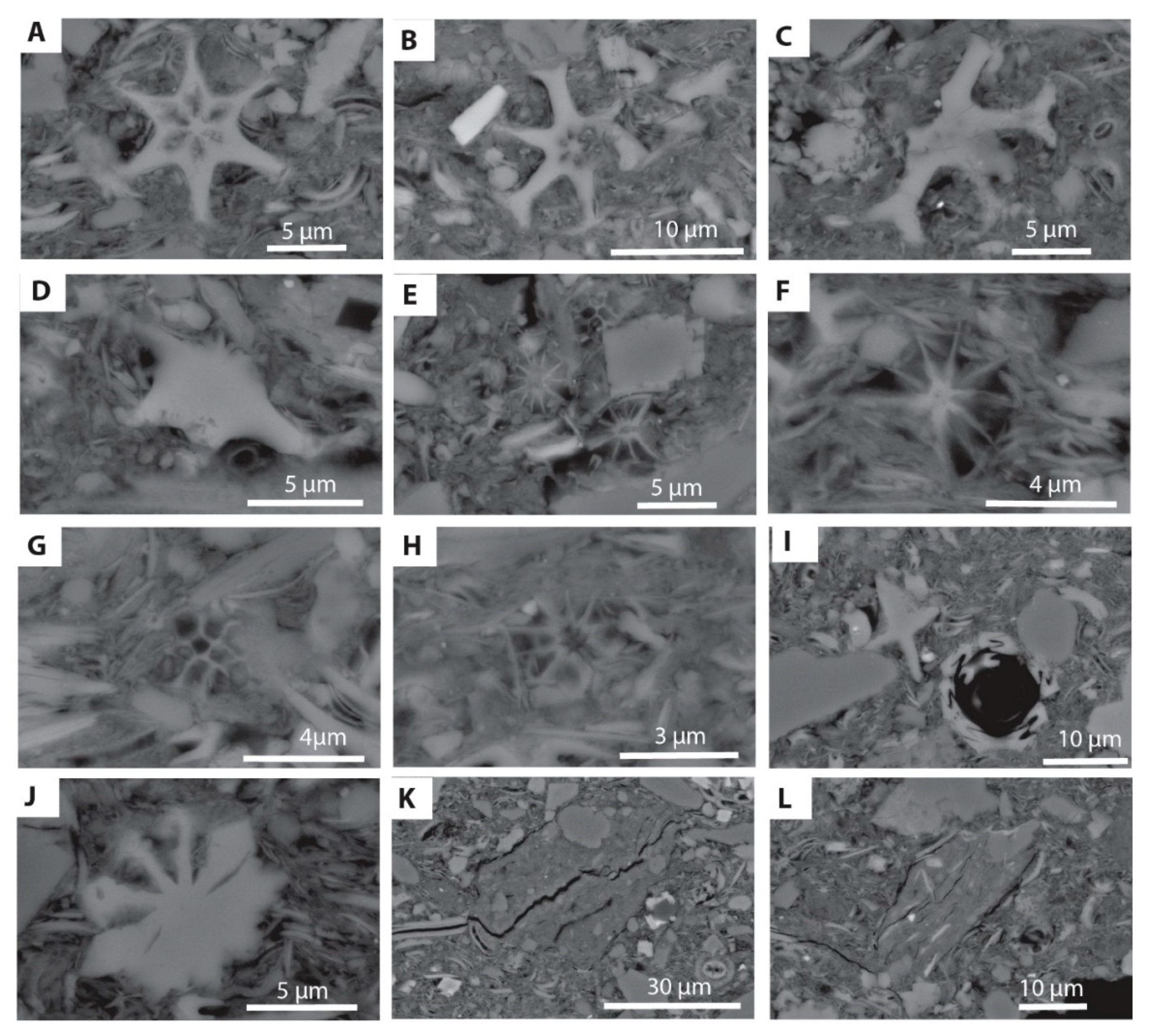 Minerals 10 00488 g009 Minerals 10 00488 g009