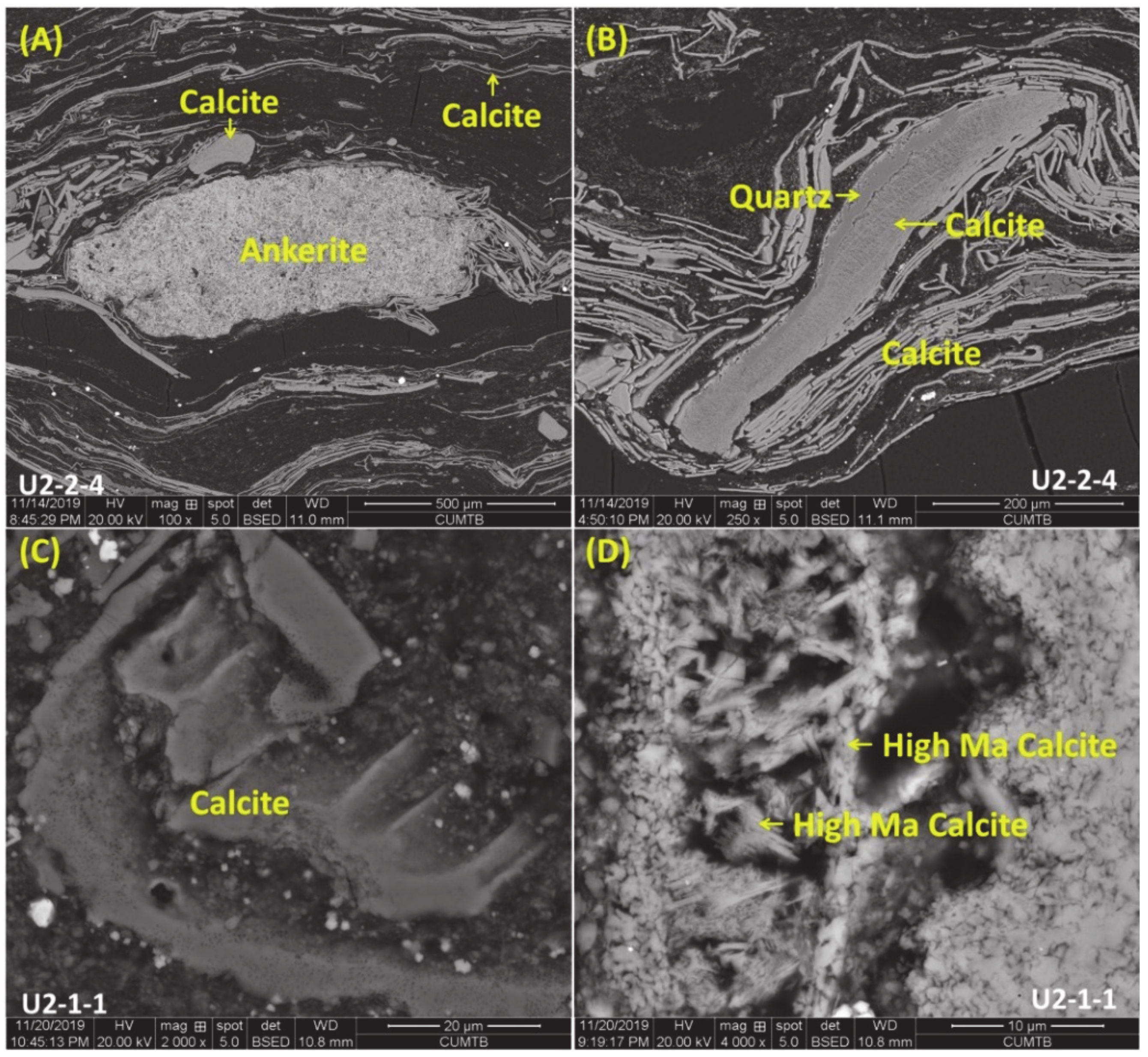 Minerals 10 00496 g006
