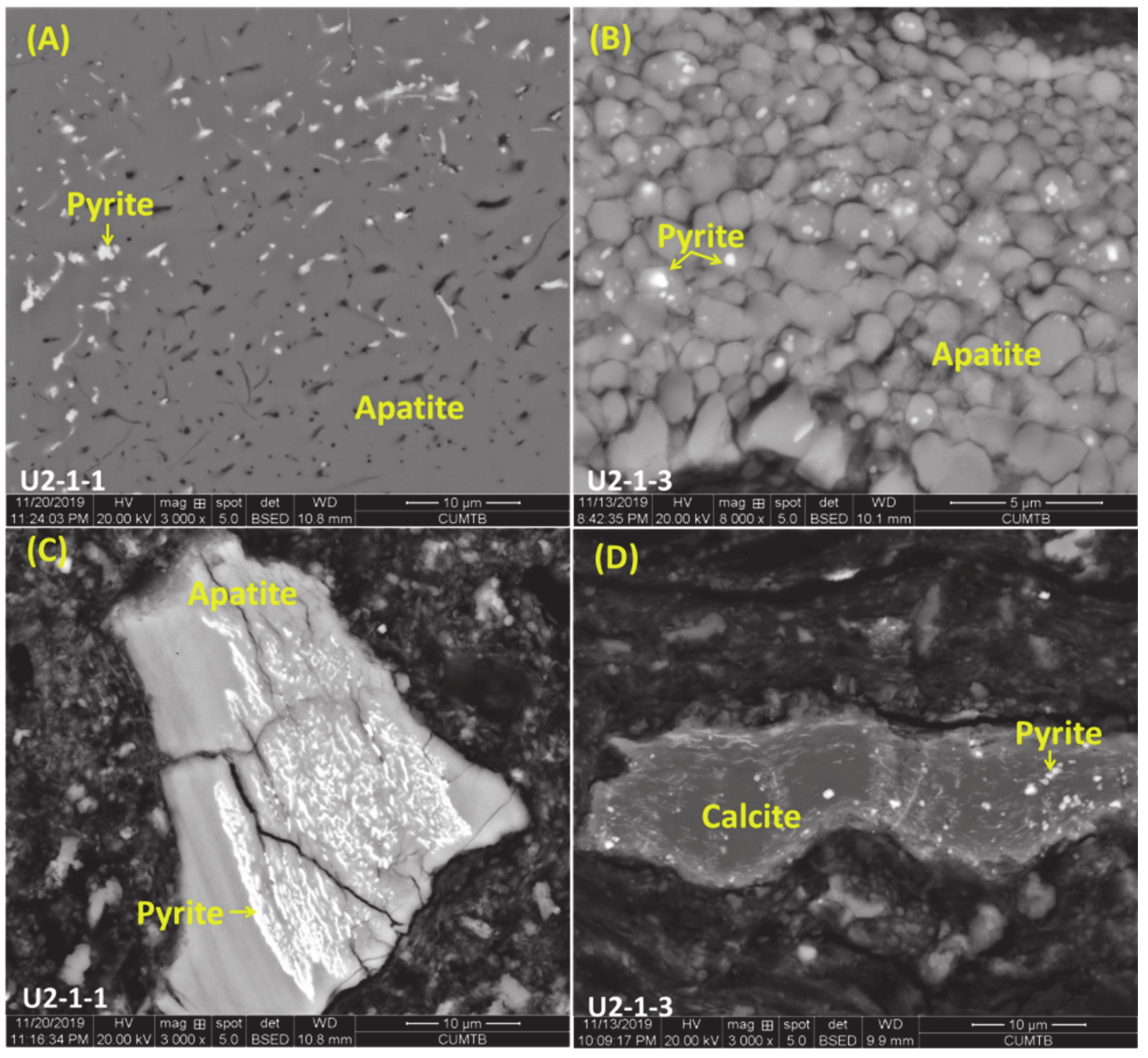 Minerals 10 00496 g008