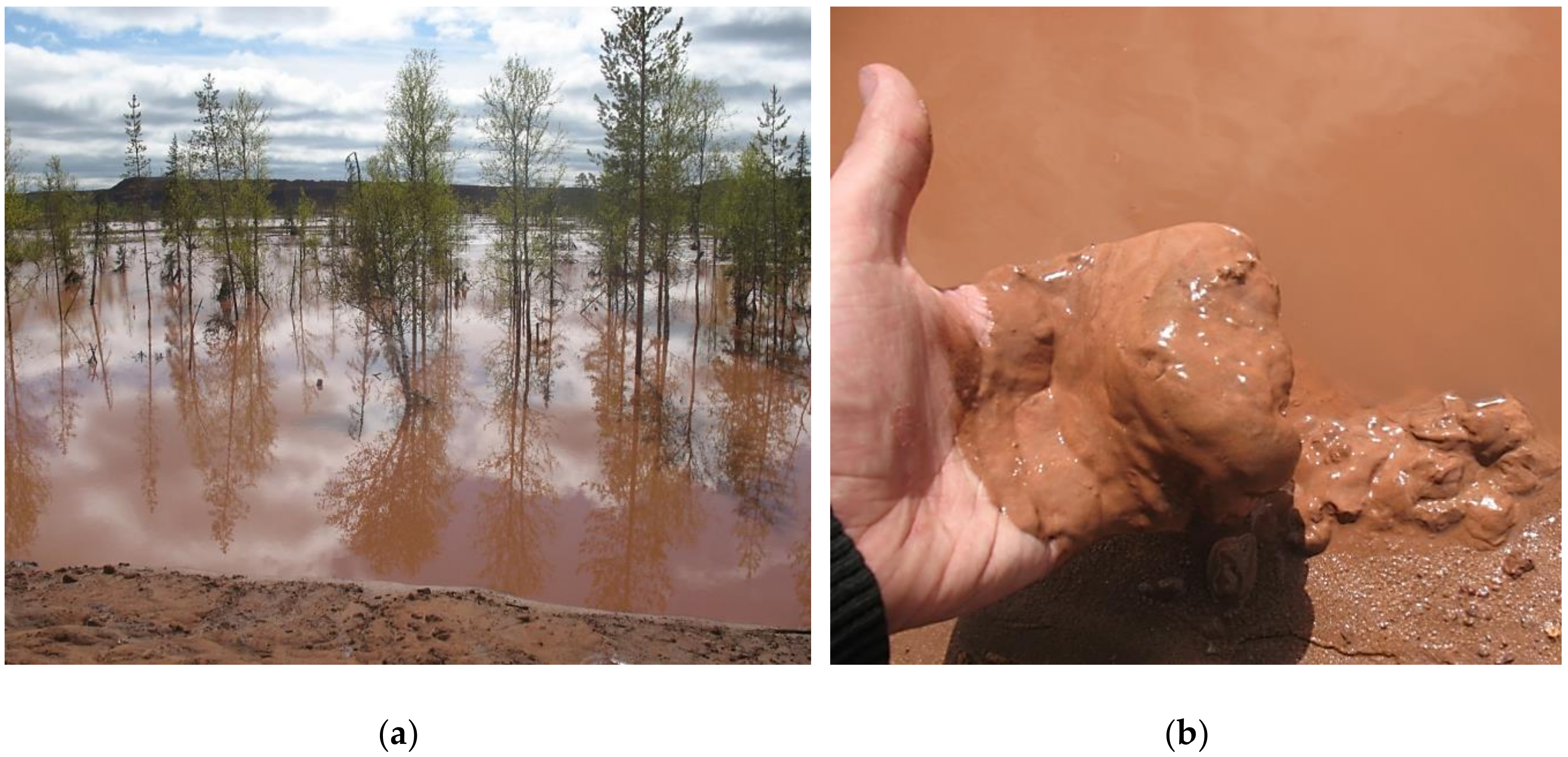 Minerals 10 00517 g002