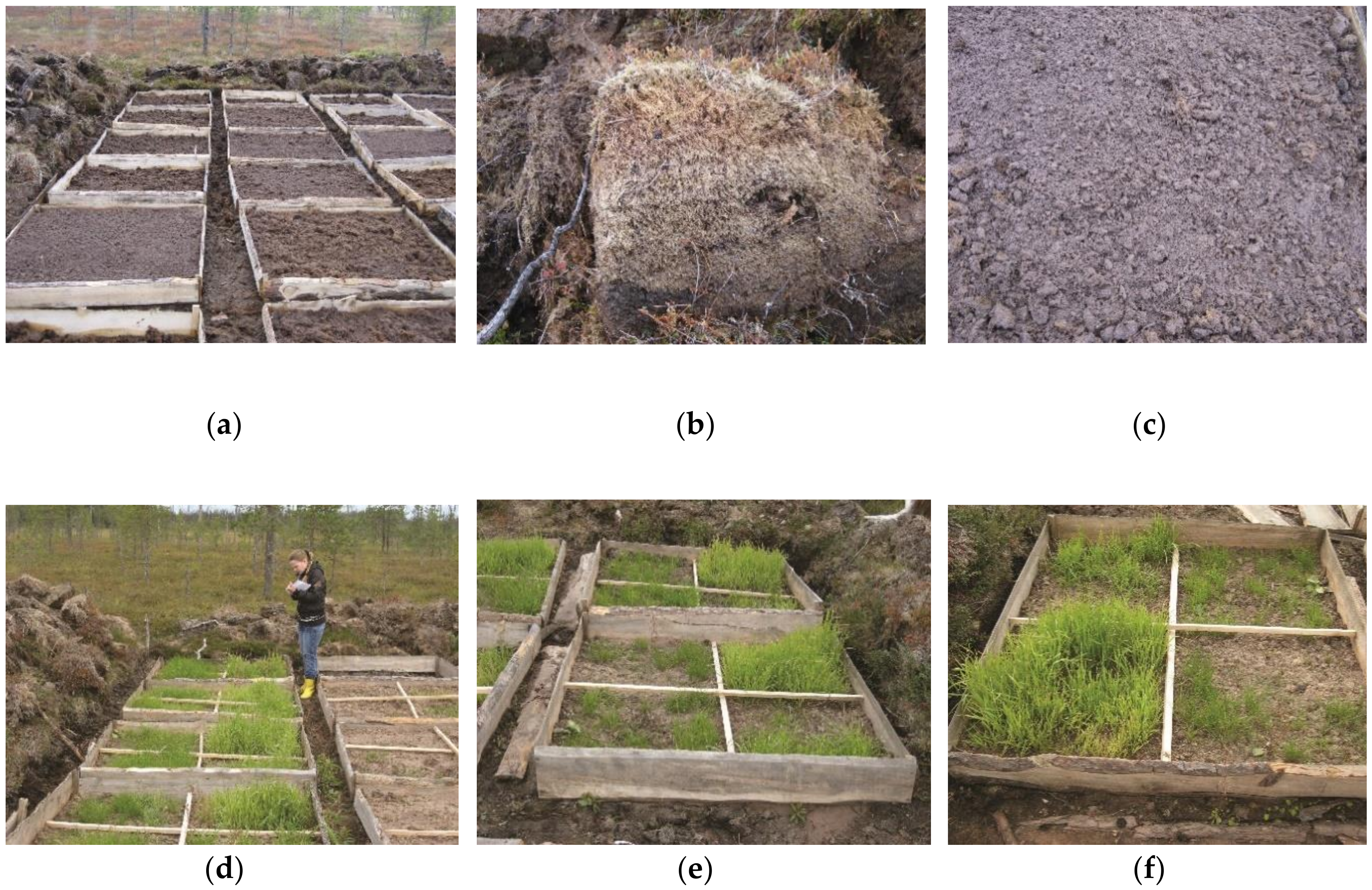 Minerals 10 00517 g005