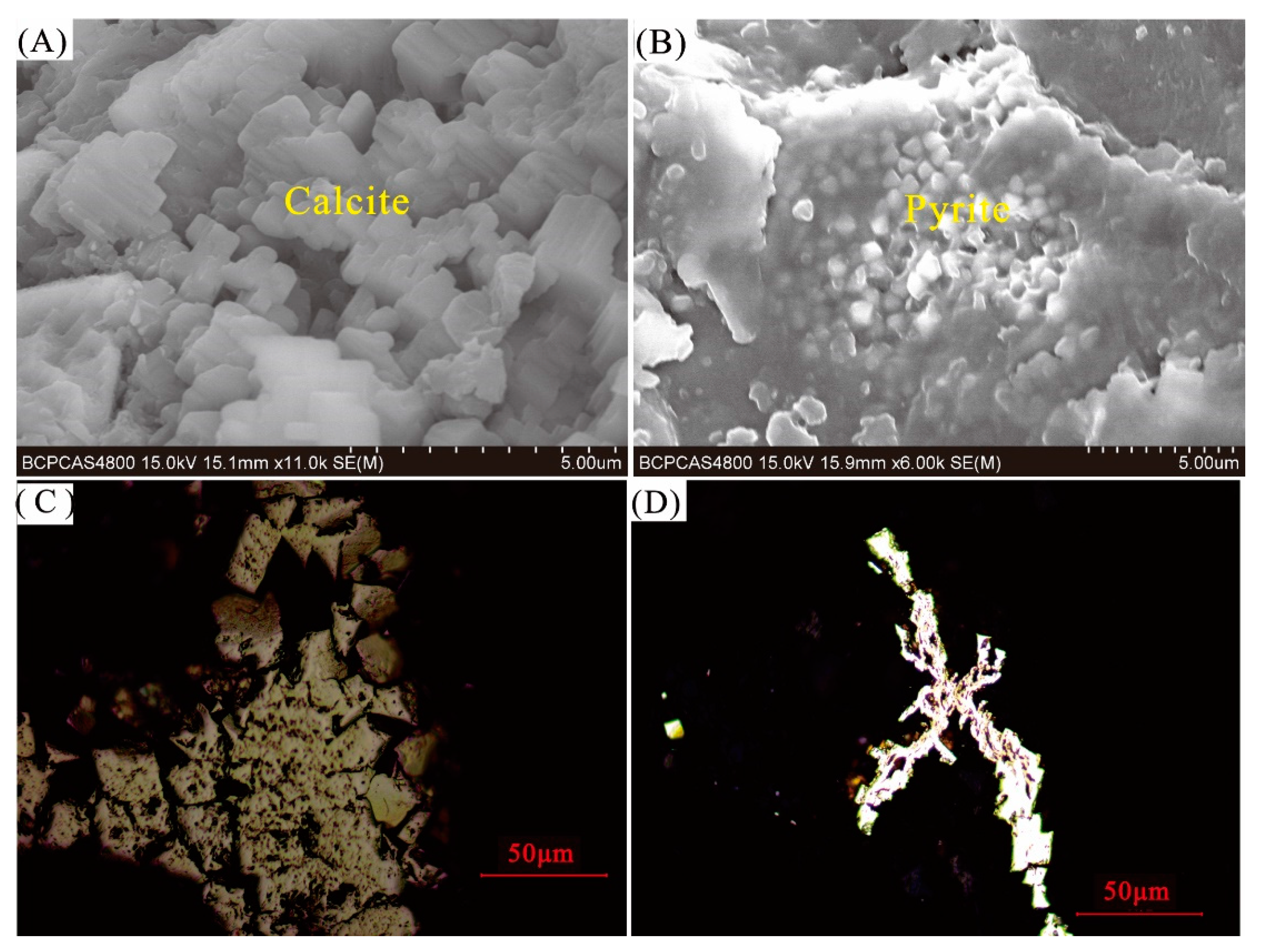 Minerals 10 00521 g010