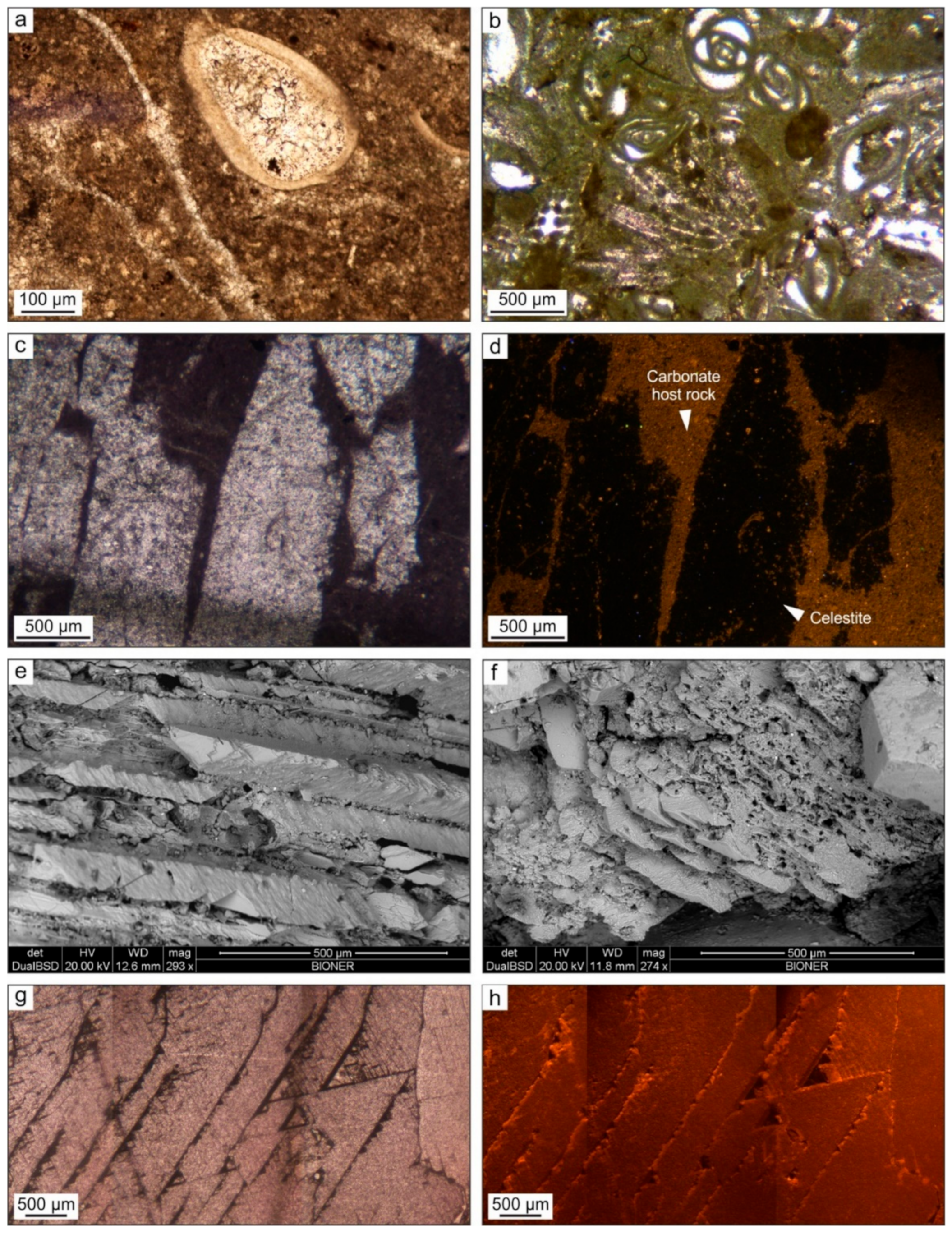 Minerals 10 00522 g004 Minerals 10 00522 g004