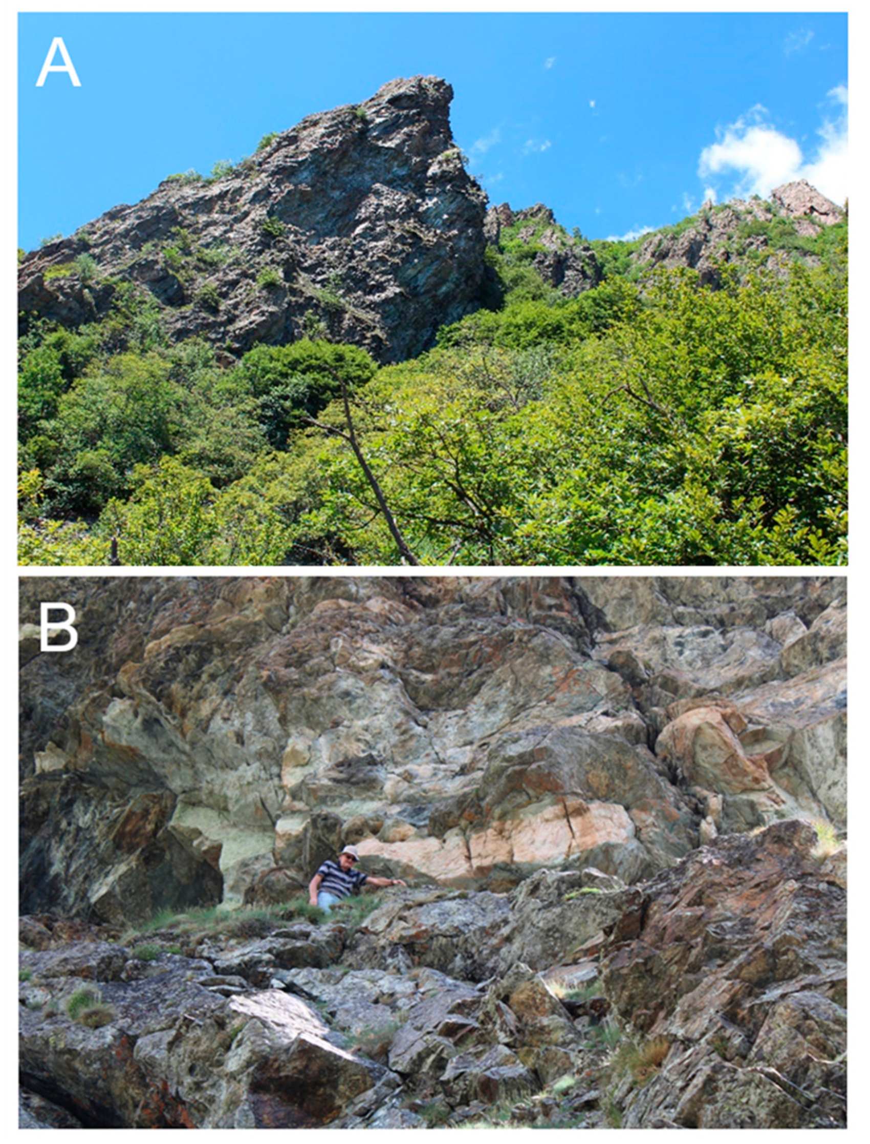 Minerals 10 00535 g002