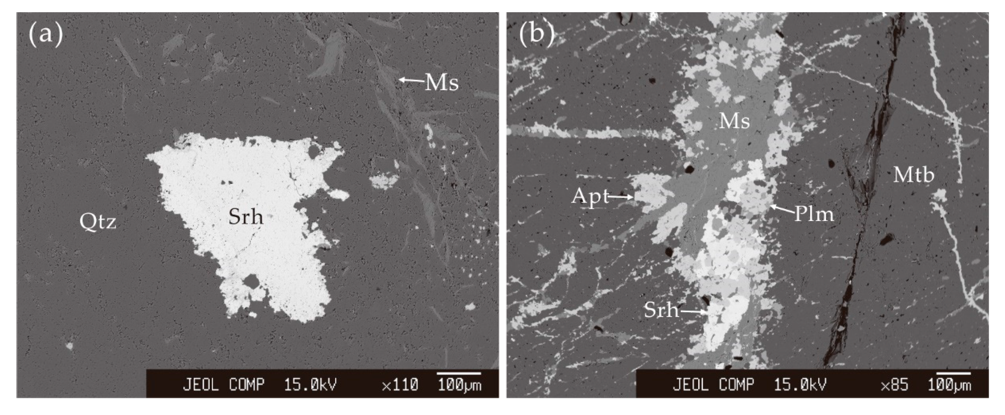Minerals 10 00541 g004 Minerals 10 00541 g004