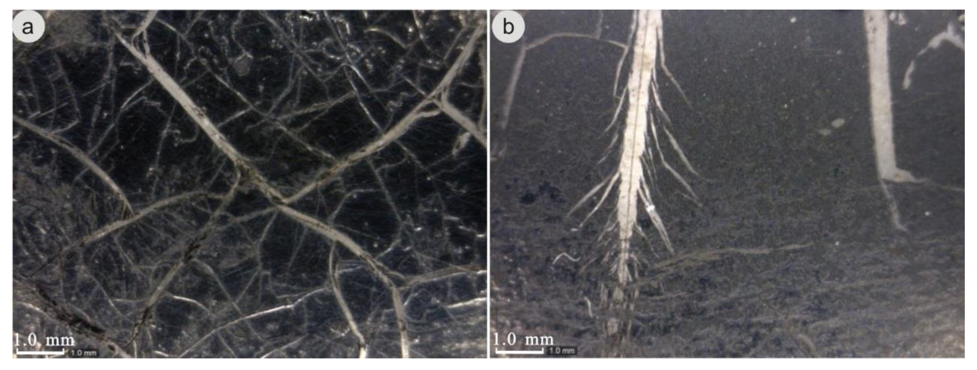 Minerals 10 00543 g004 Minerals 10 00543 g004