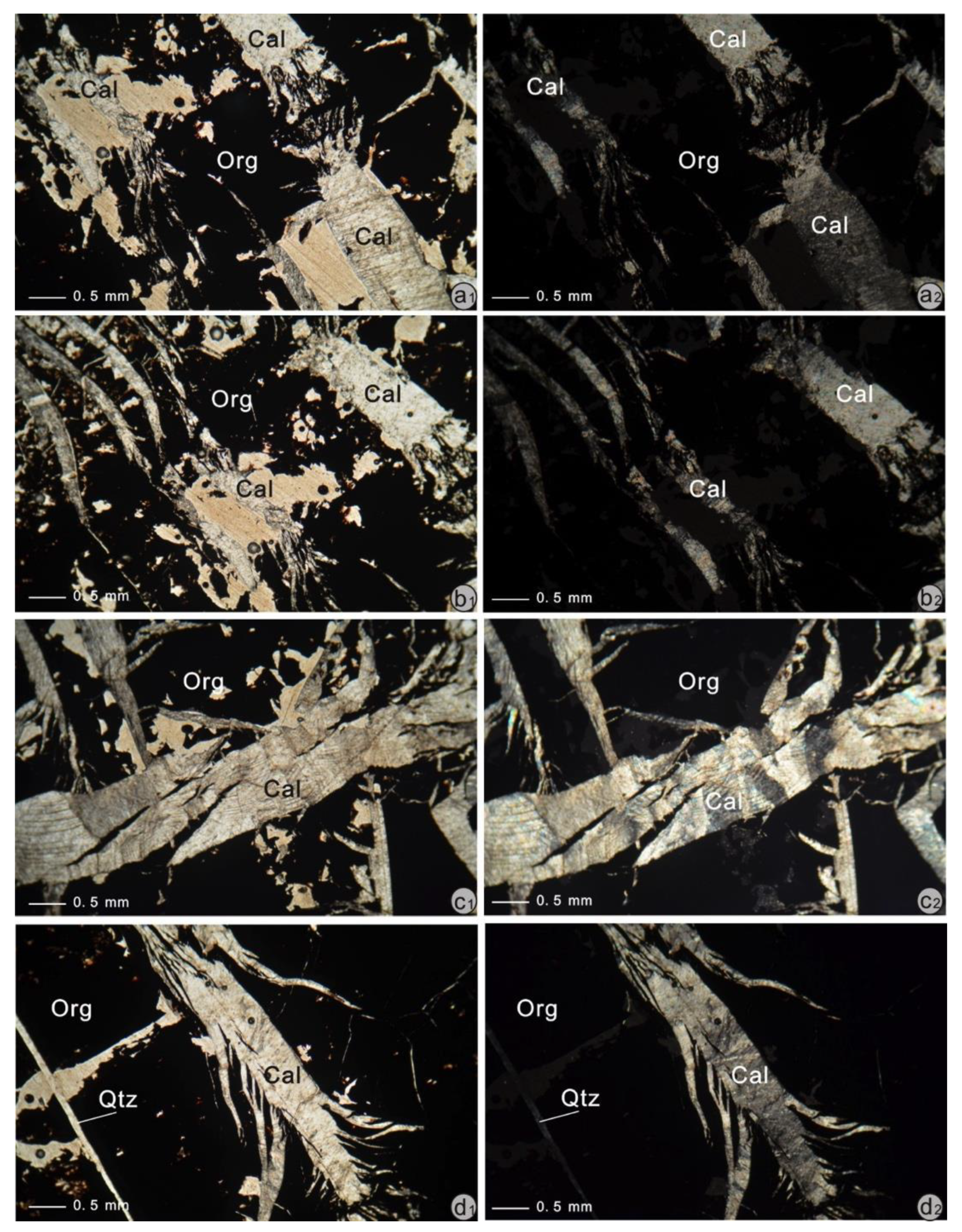 Minerals 10 00543 g005 Minerals 10 00543 g005