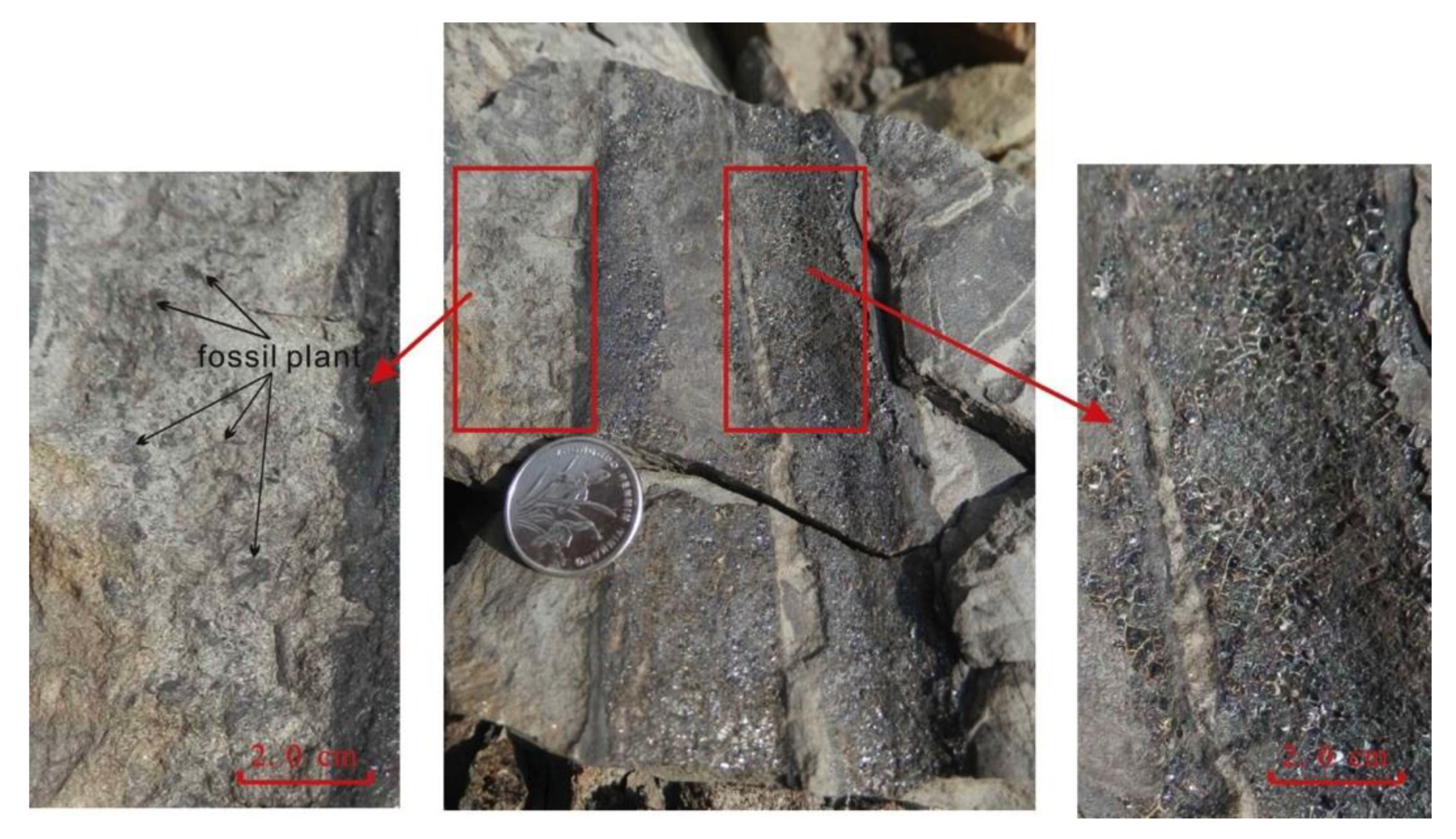 Minerals 10 00543 g009 Minerals 10 00543 g009