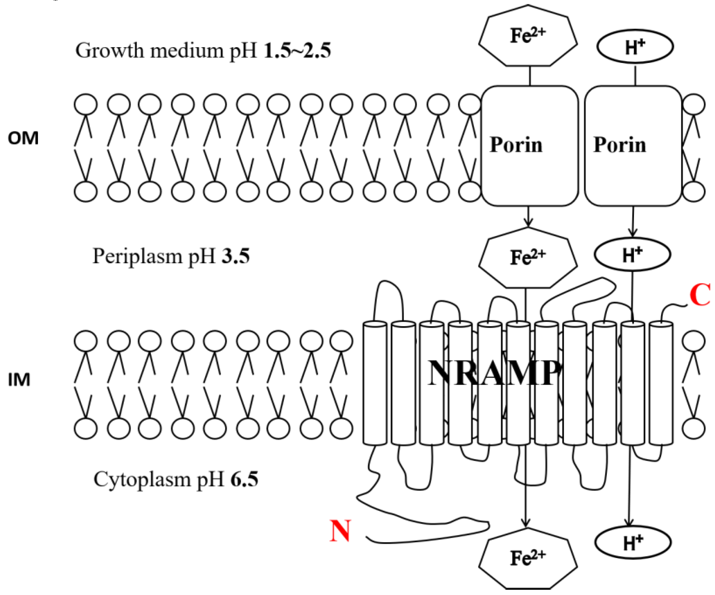 Minerals 10 00544 g004 Minerals 10 00544 g004