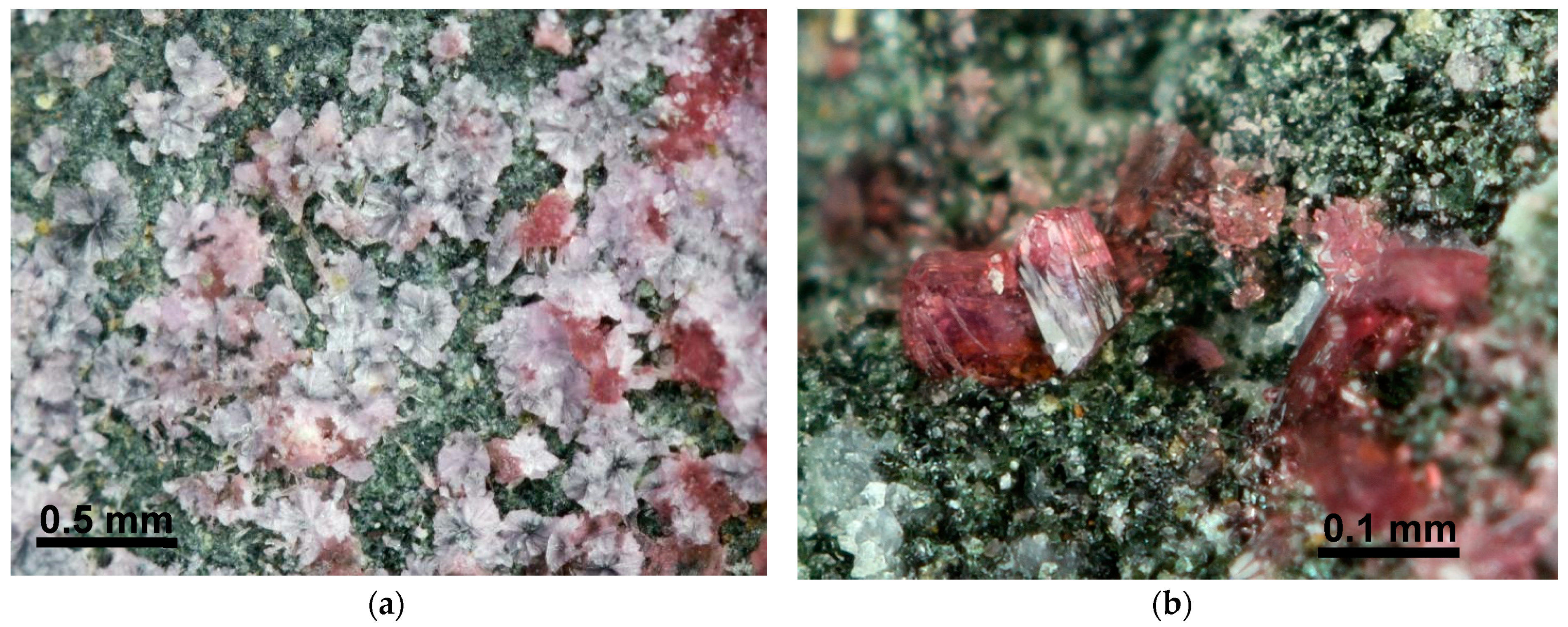 Minerals 10 00548 g002