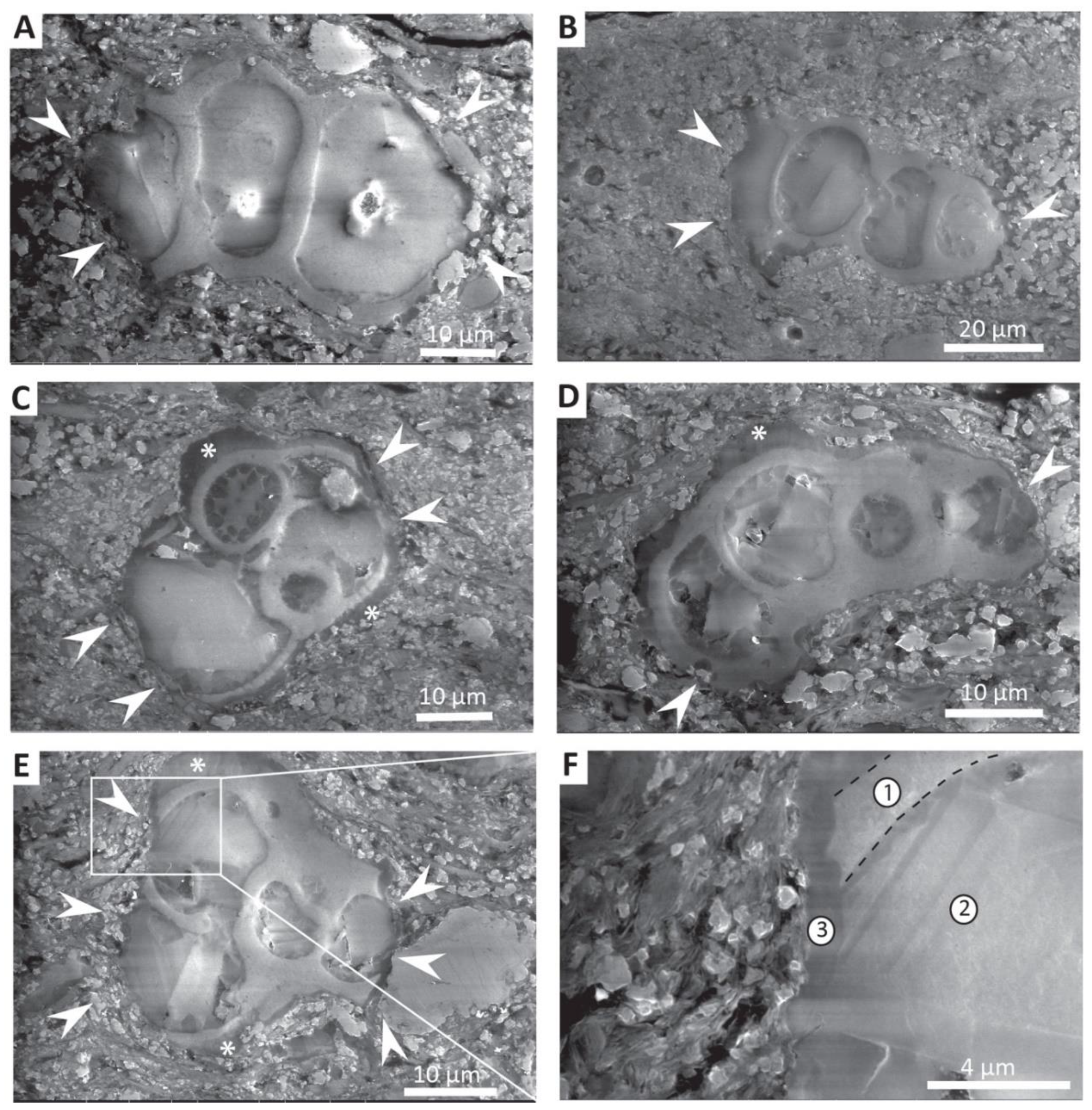 Minerals 10 00550 g004