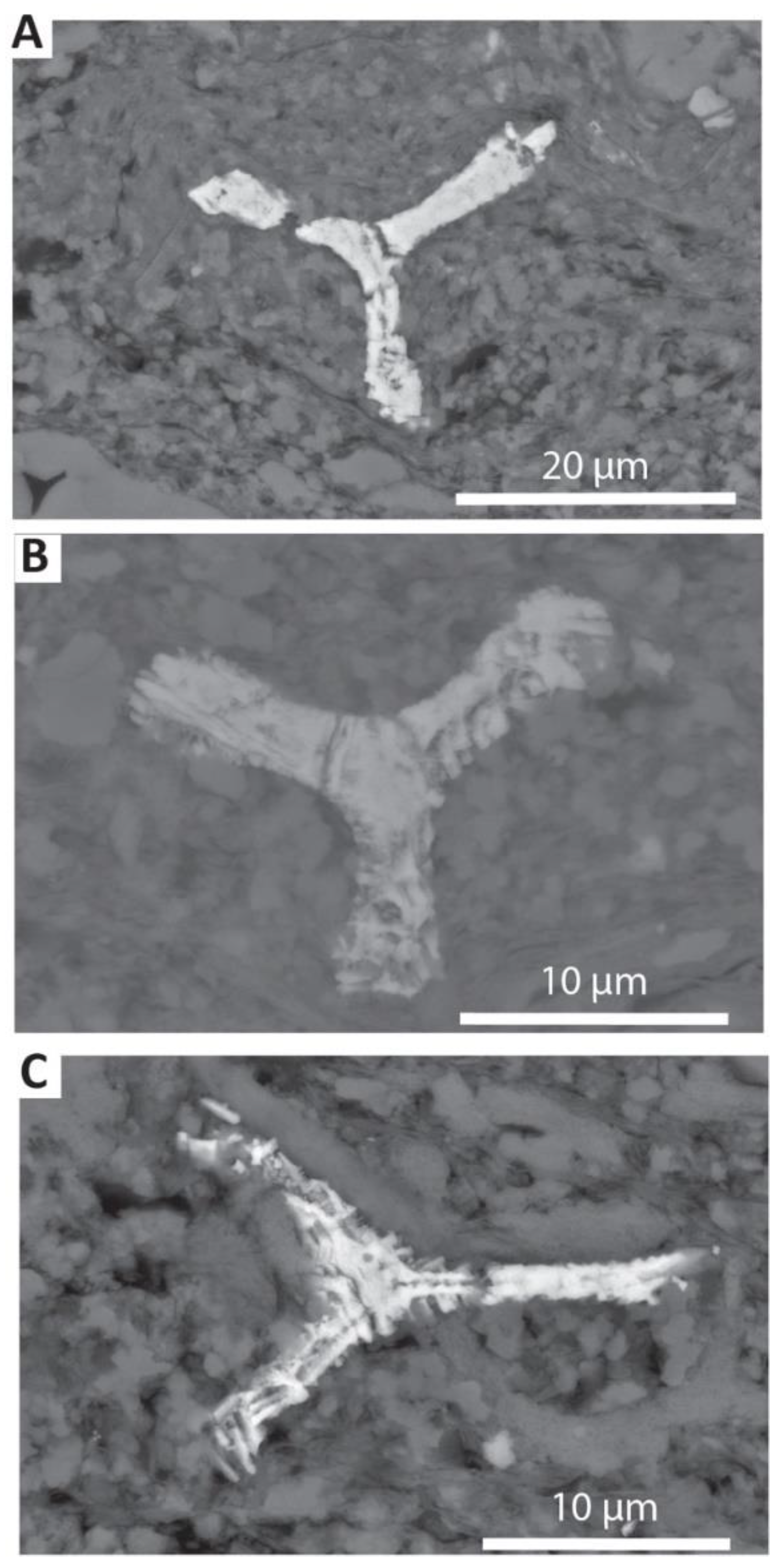Minerals 10 00550 g010