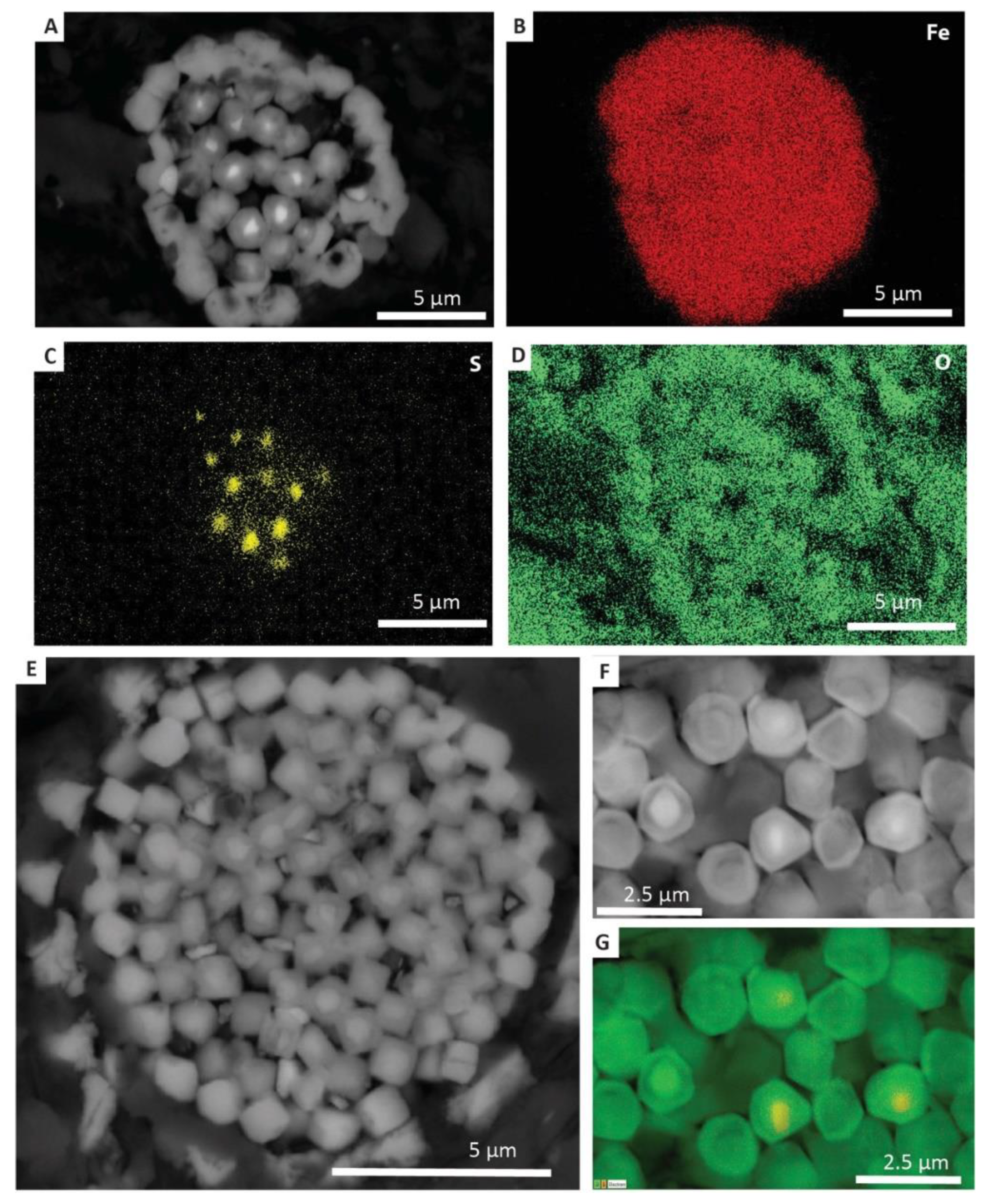 Minerals 10 00550 g011