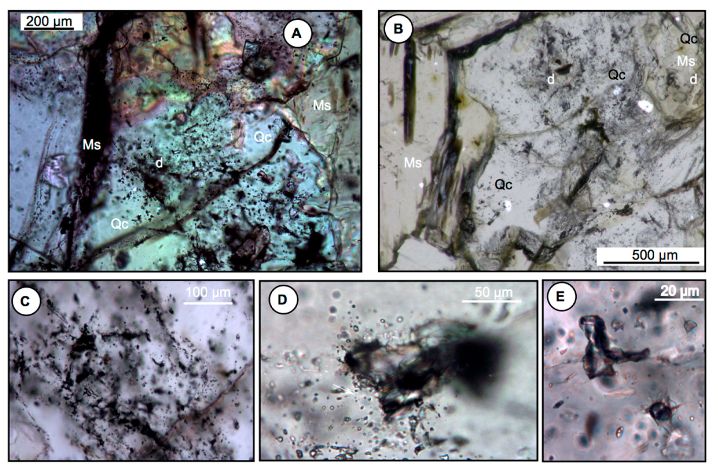 Minerals 10 00562 g010