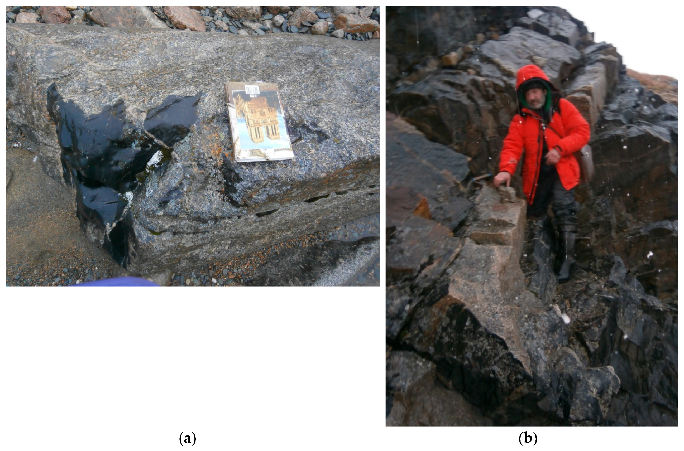 Minerals 10 00571 g005