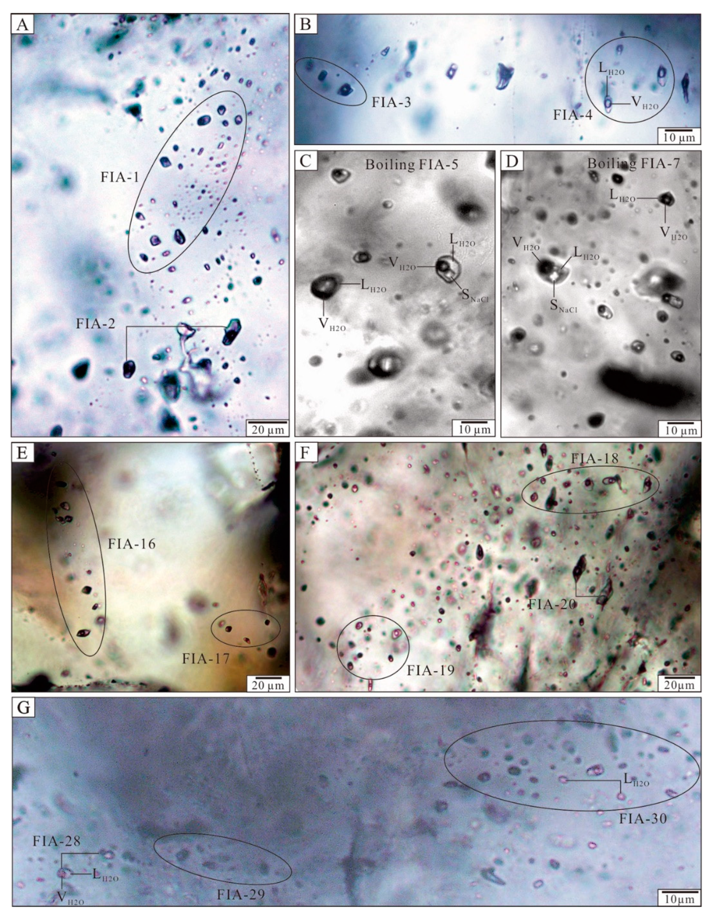 Minerals 10 00592 g006 Minerals 10 00592 g006