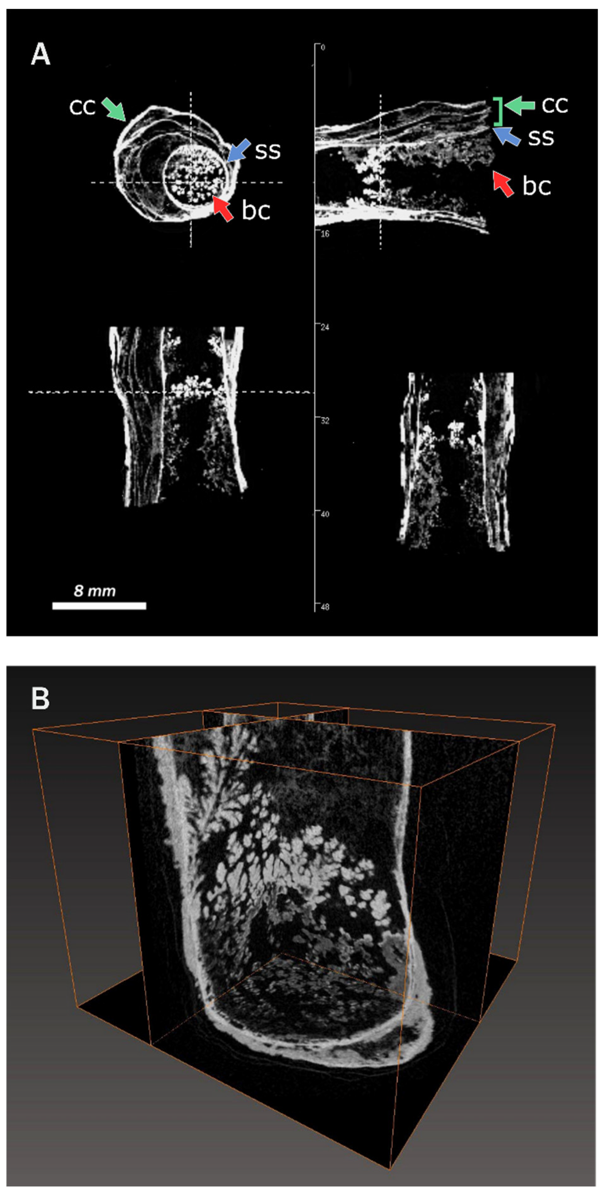 Minerals 10 00599 g004