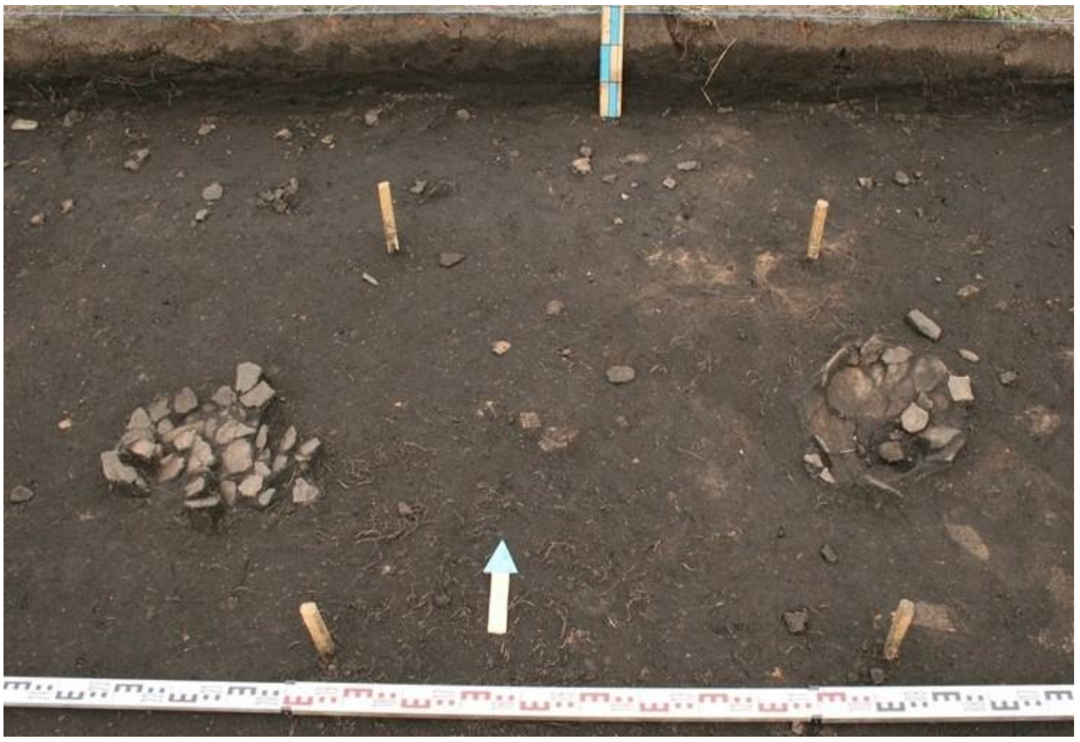 Minerals 10 00607 g003